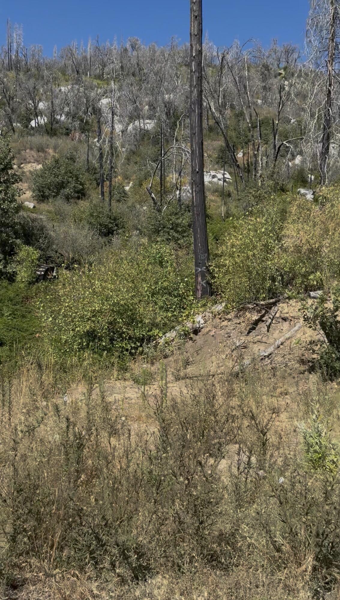 36980 Peterson Rd, Auberry, CA 93602
