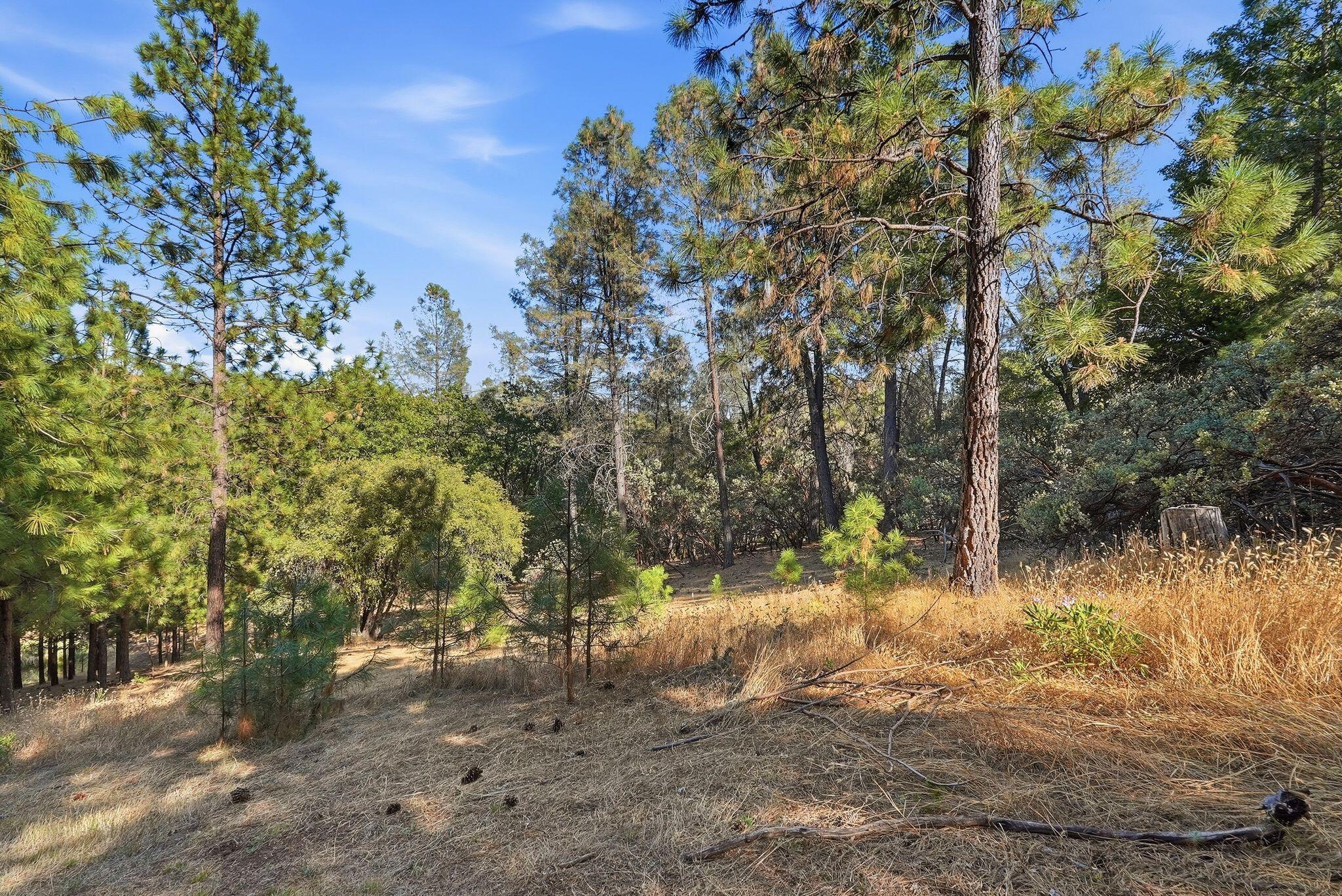 1235 Naturewood Dr, Meadow Vista, CA 95722