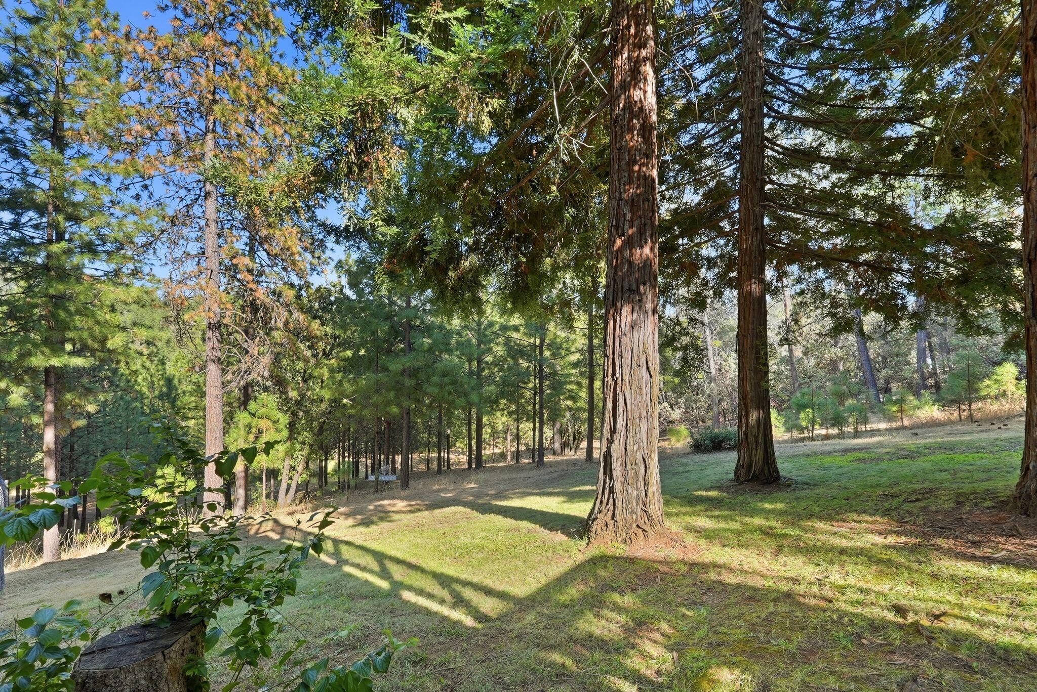 1235 Naturewood Dr, Meadow Vista, CA 95722