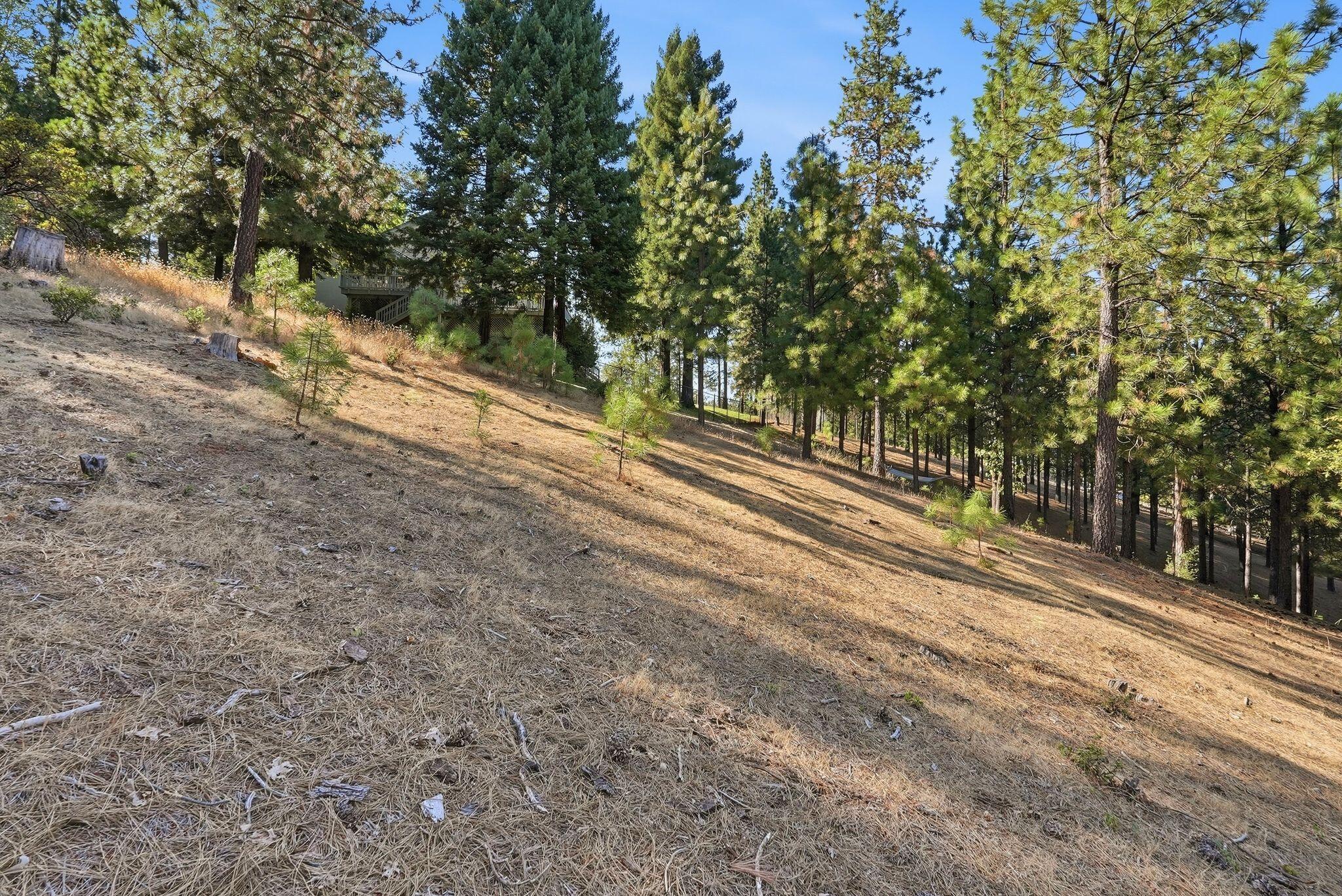 1235 Naturewood Dr, Meadow Vista, CA 95722