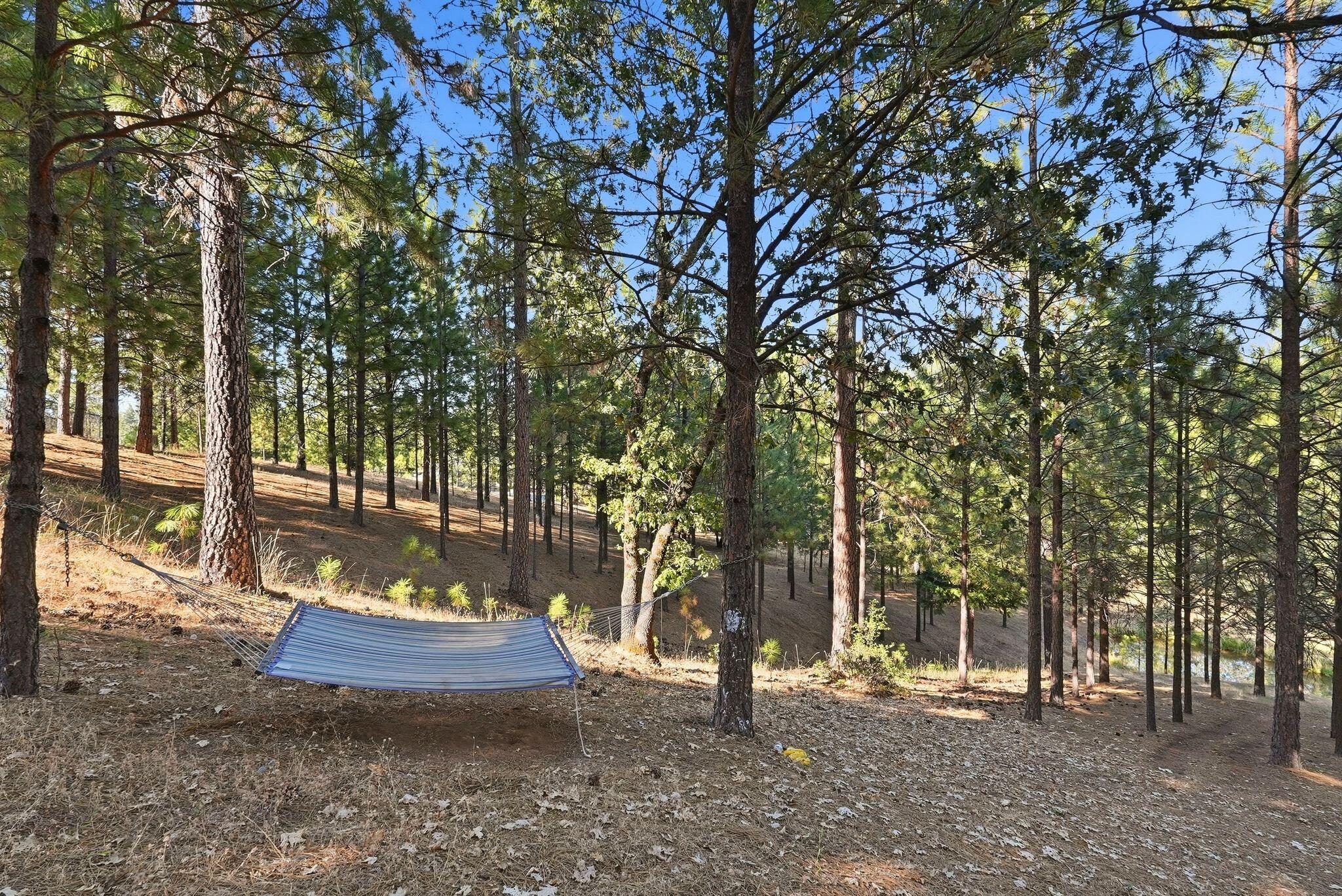 1235 Naturewood Dr, Meadow Vista, CA 95722