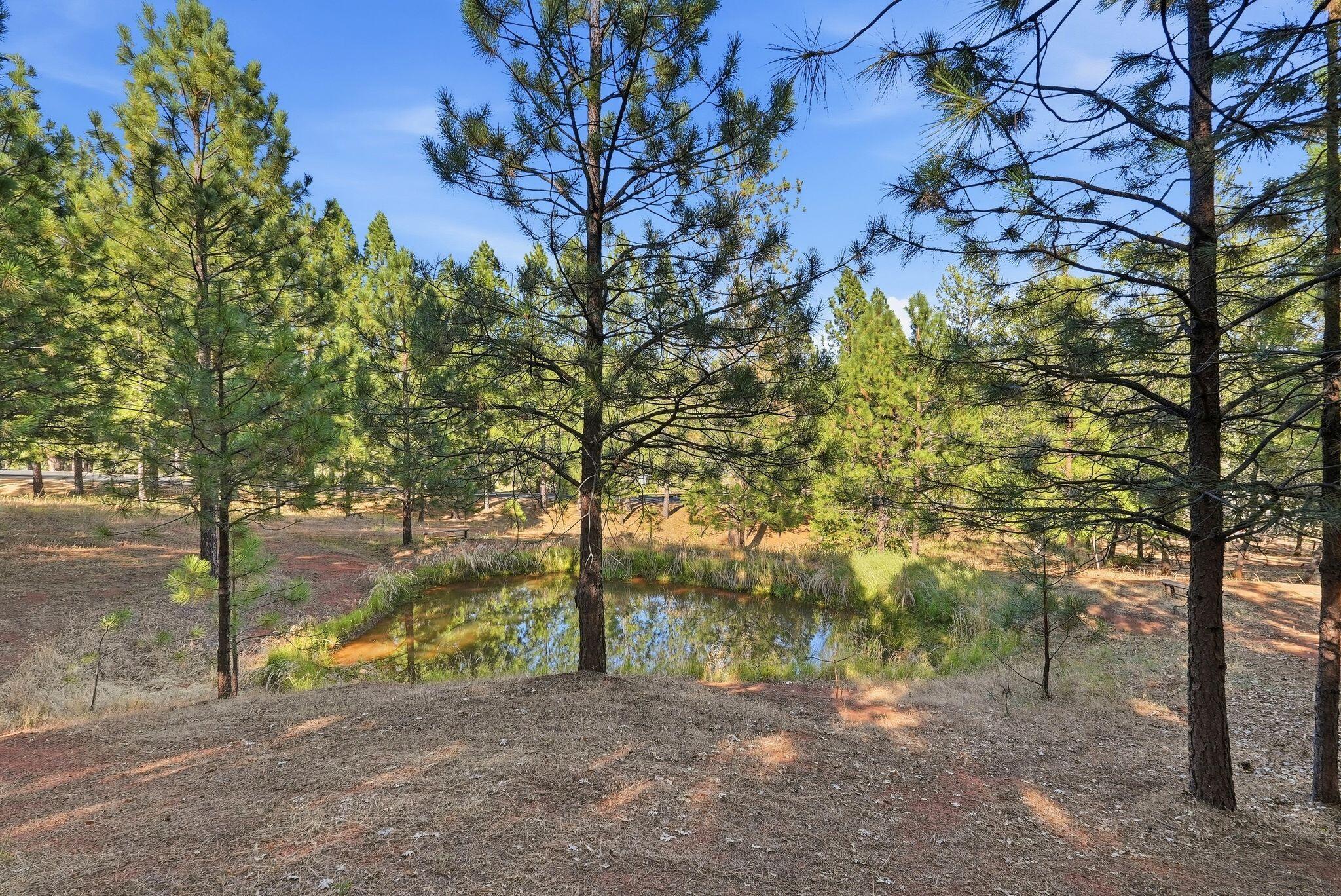 1235 Naturewood Dr, Meadow Vista, CA 95722