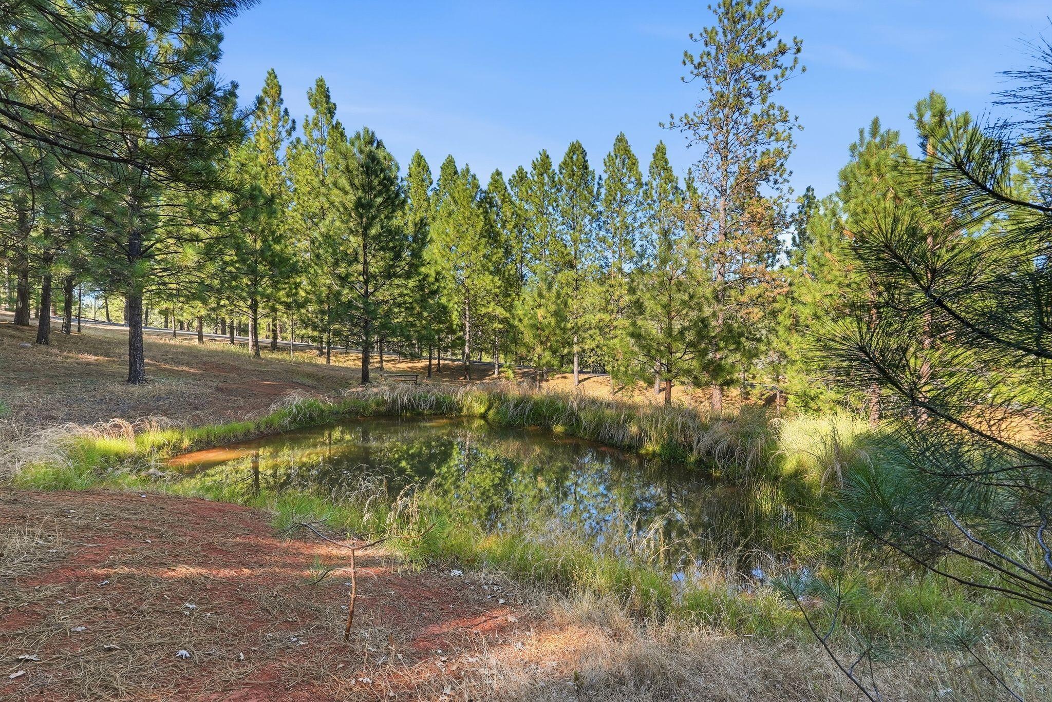 1235 Naturewood Dr, Meadow Vista, CA 95722
