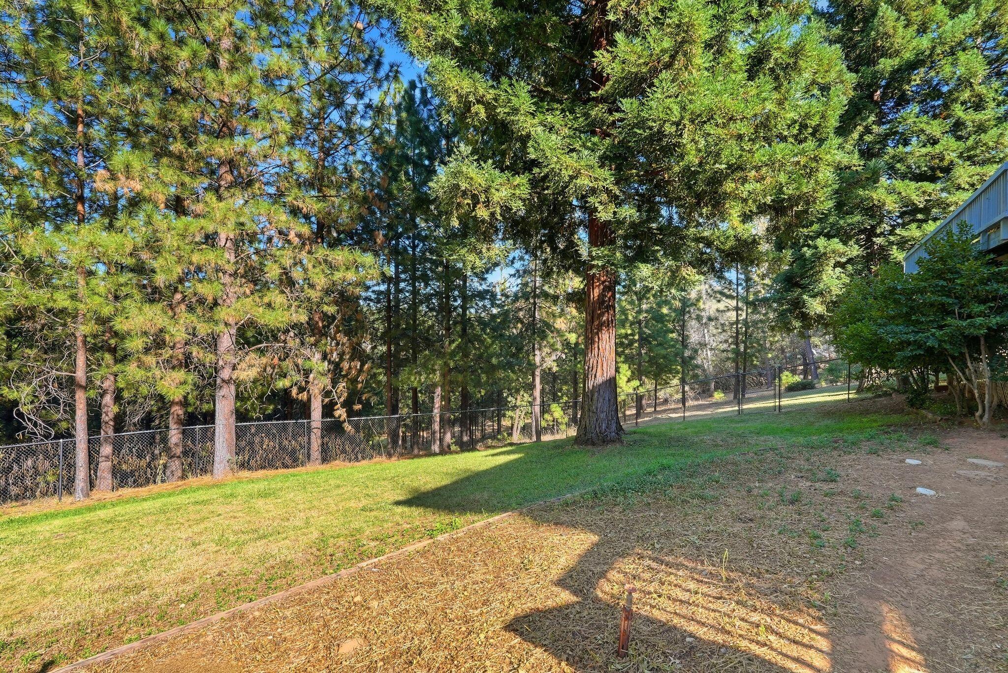1235 Naturewood Dr, Meadow Vista, CA 95722