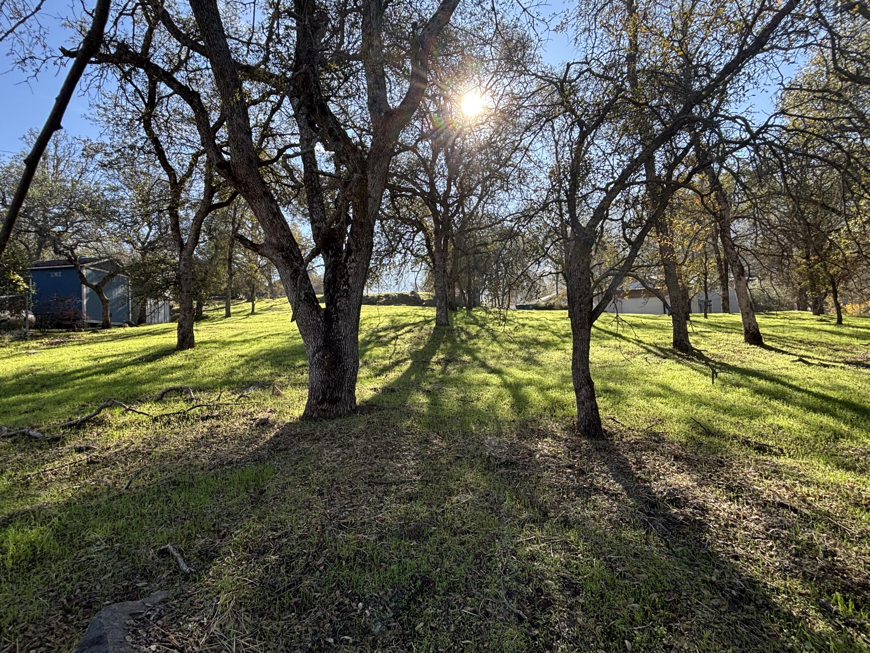 0 Meadow Dr, Three Rivers, CA 93271