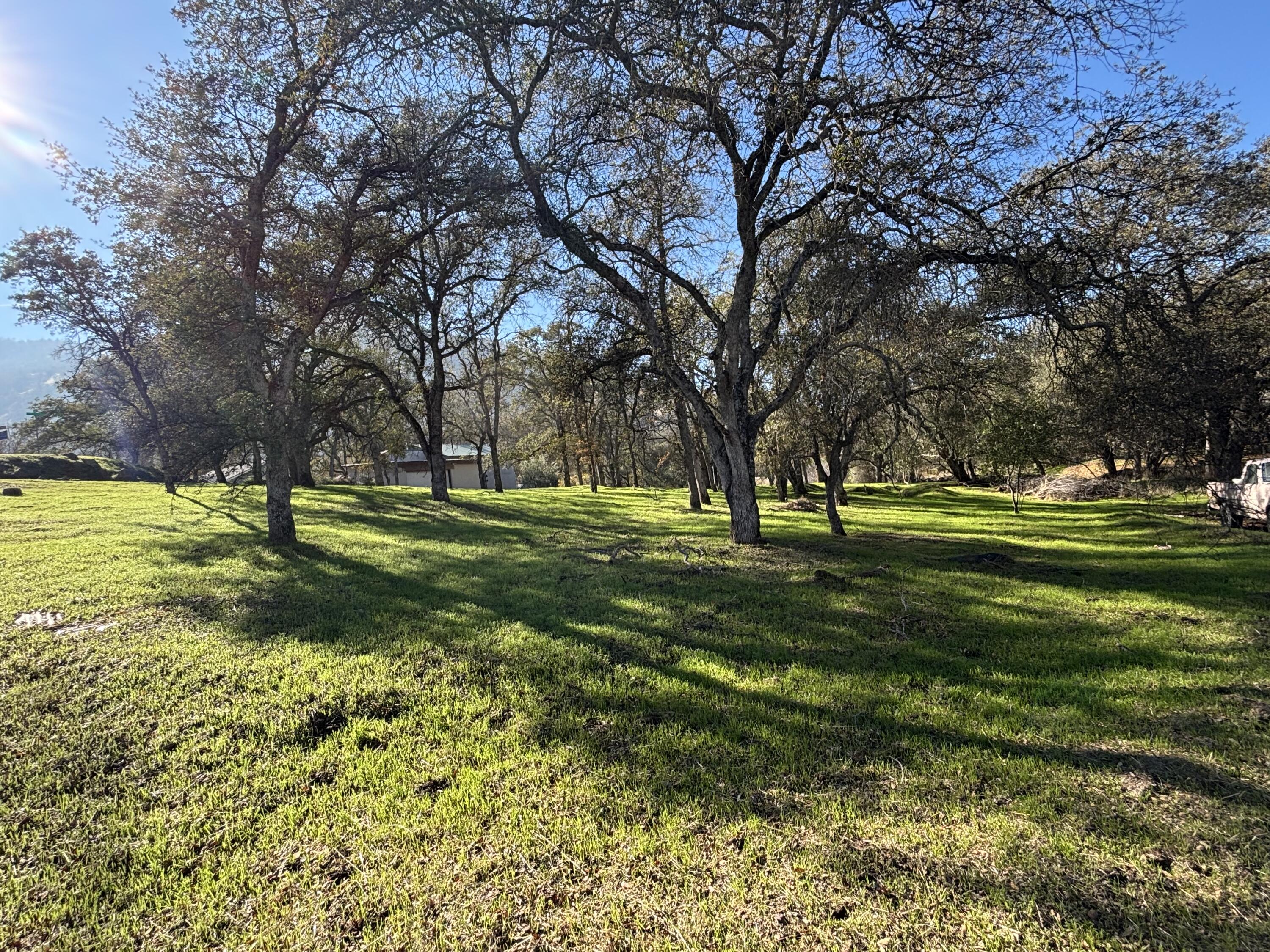 0 Meadow Dr, Three Rivers, CA 93271