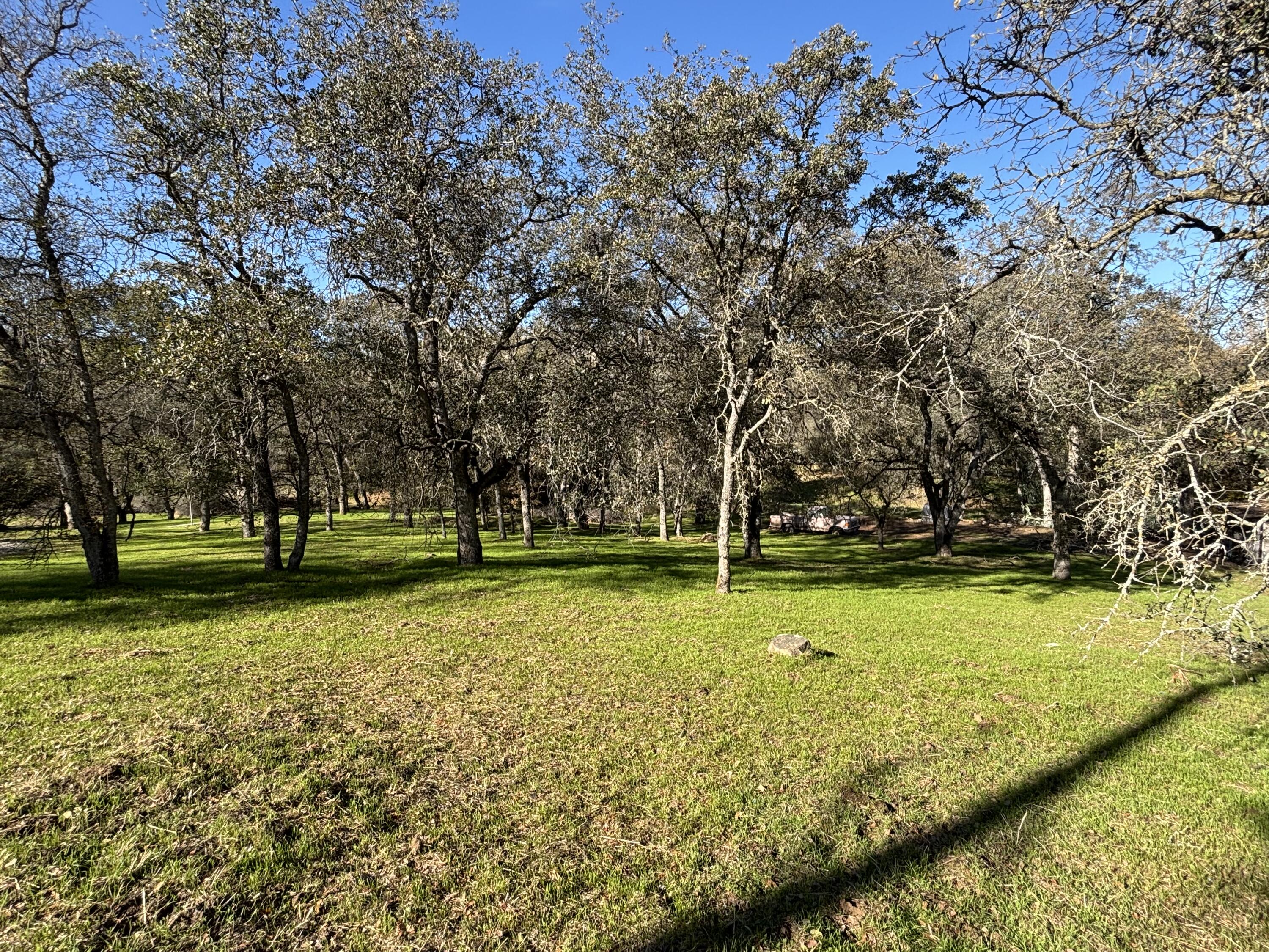 0 Meadow Dr, Three Rivers, CA 93271