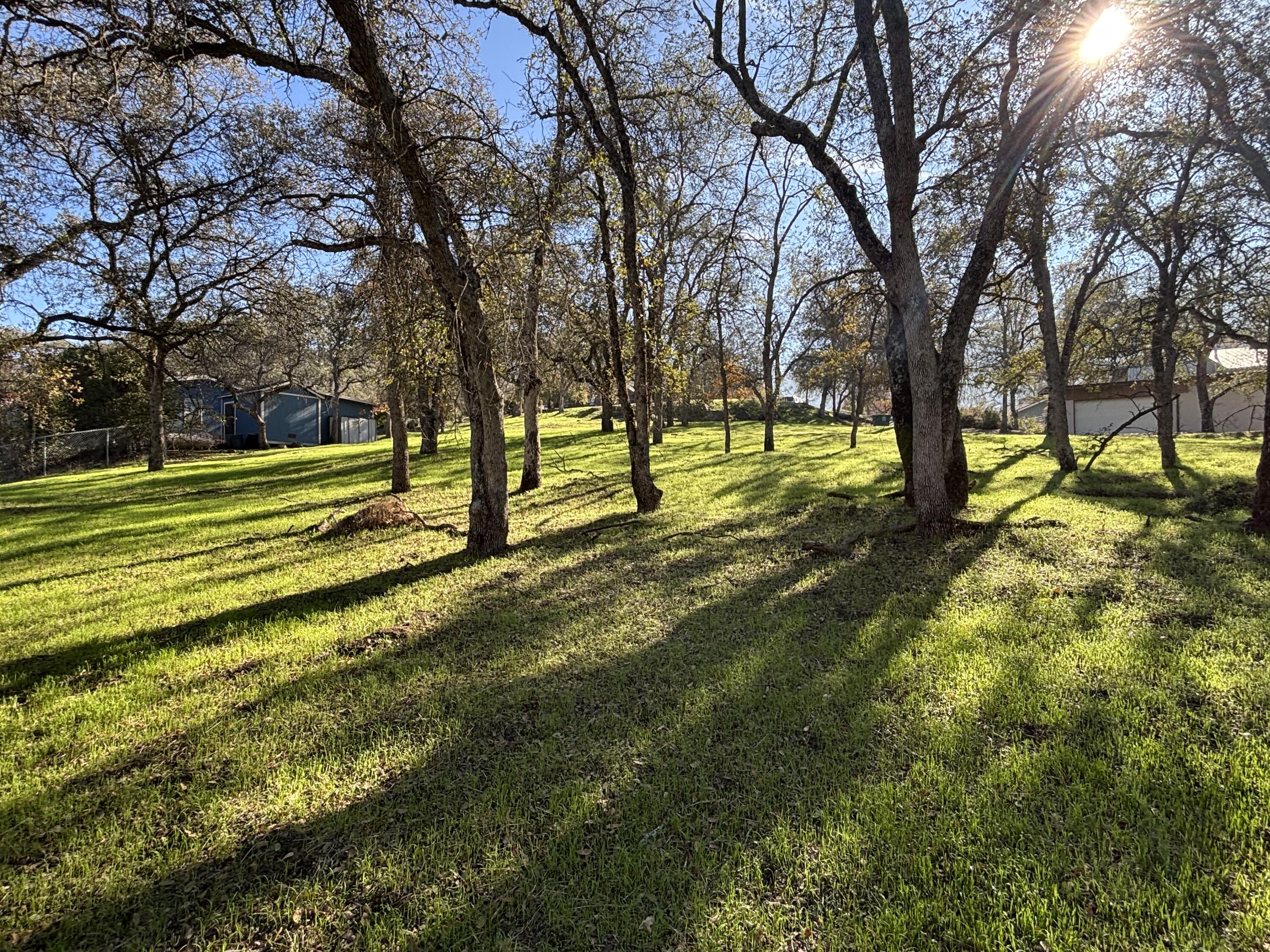 0 Meadow Dr, Three Rivers, CA 93271