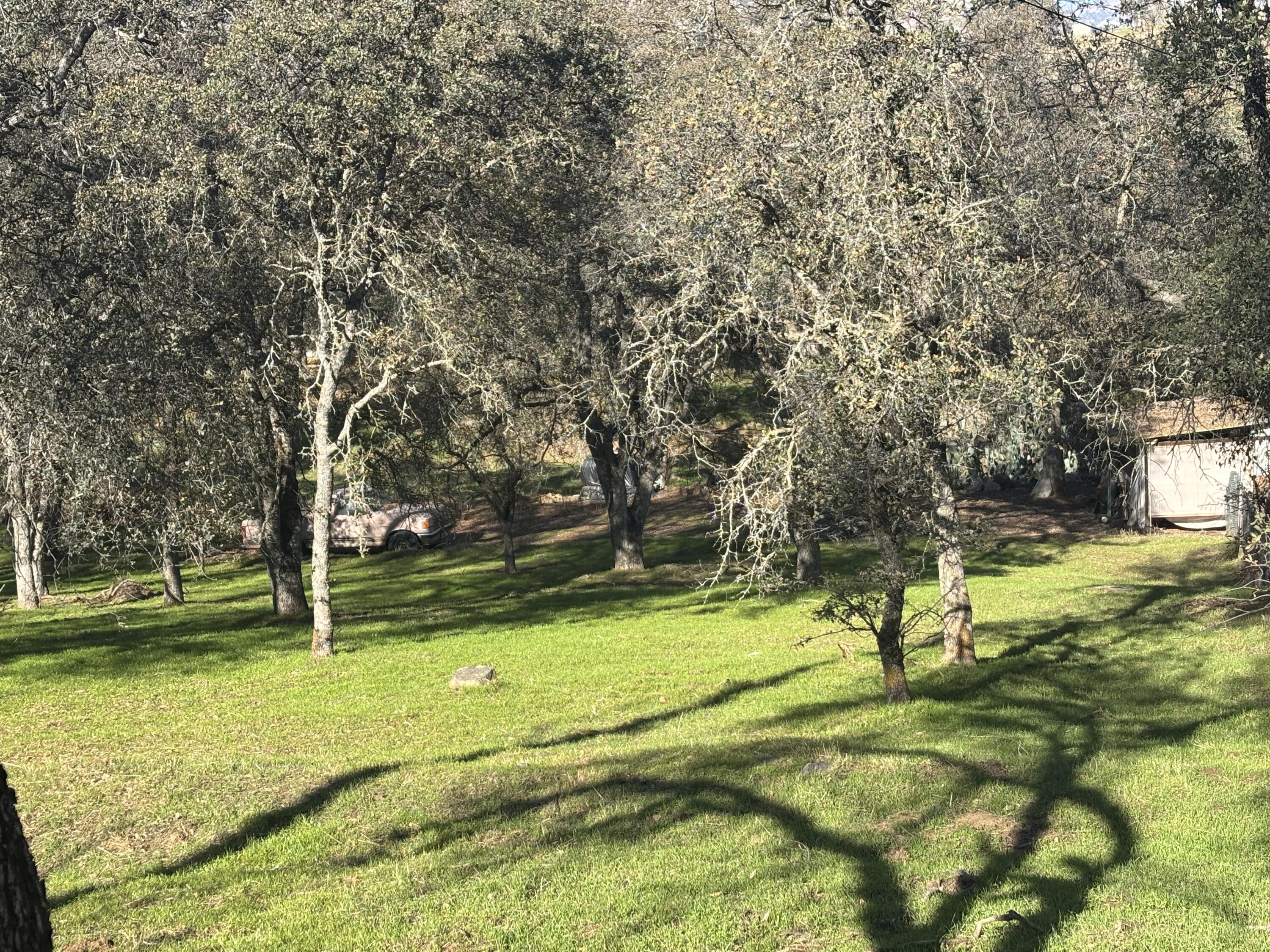 0 Meadow Dr, Three Rivers, CA 93271