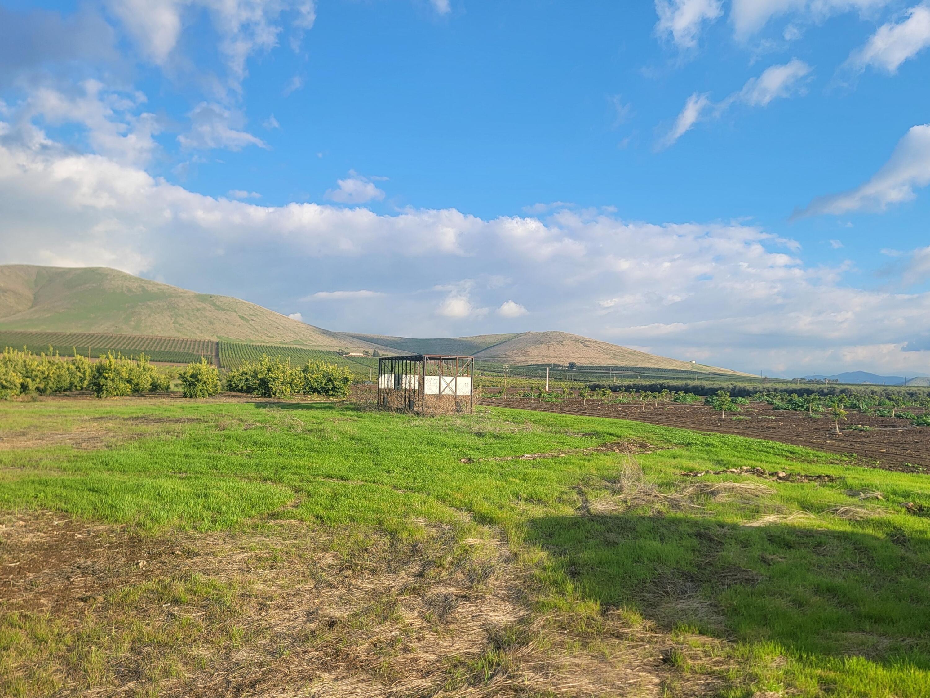 20605 Road 252 Ave, Strathmore, CA 93267