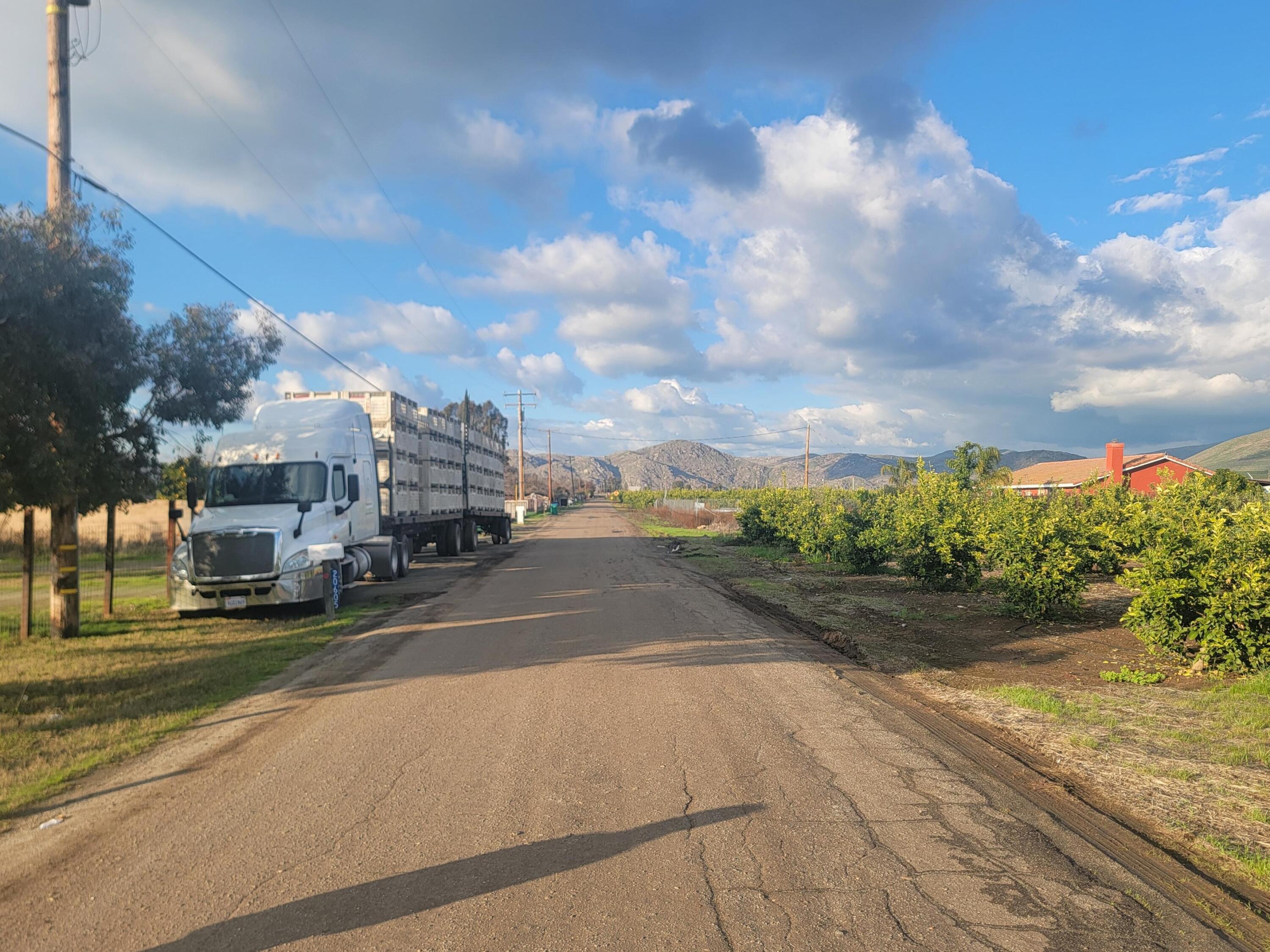 20605 Road 252 Ave, Strathmore, CA 93267