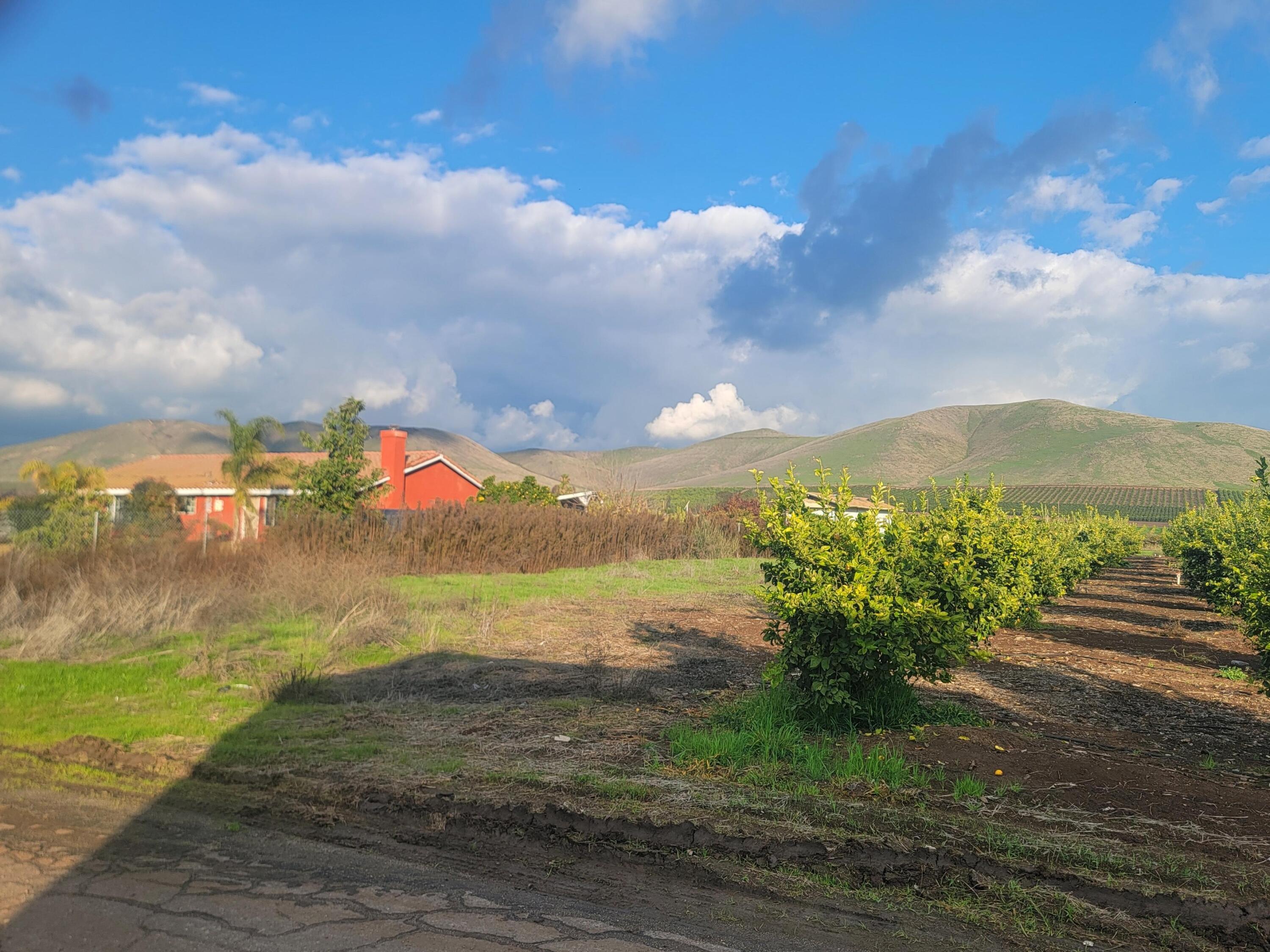 20605 Road 252 Ave, Strathmore, CA 93267