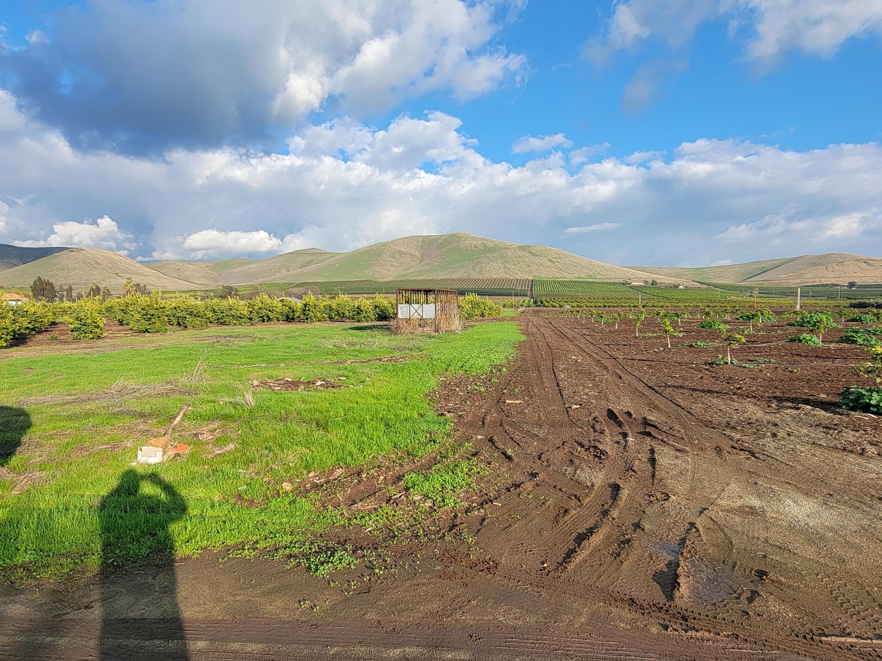 20605 Road 252 Ave, Strathmore, CA 93267