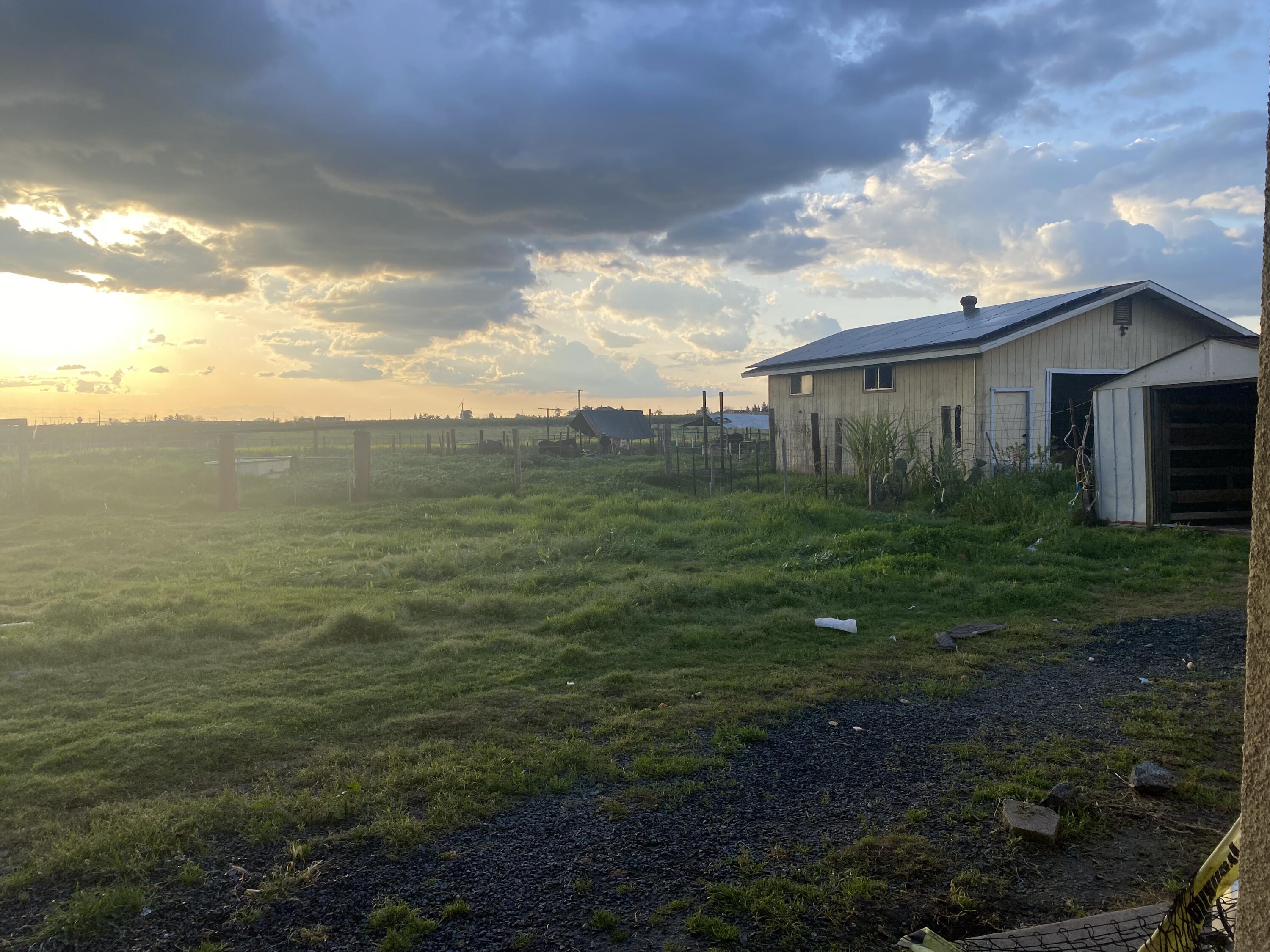 20605 Road 252 Ave, Strathmore, CA 93267