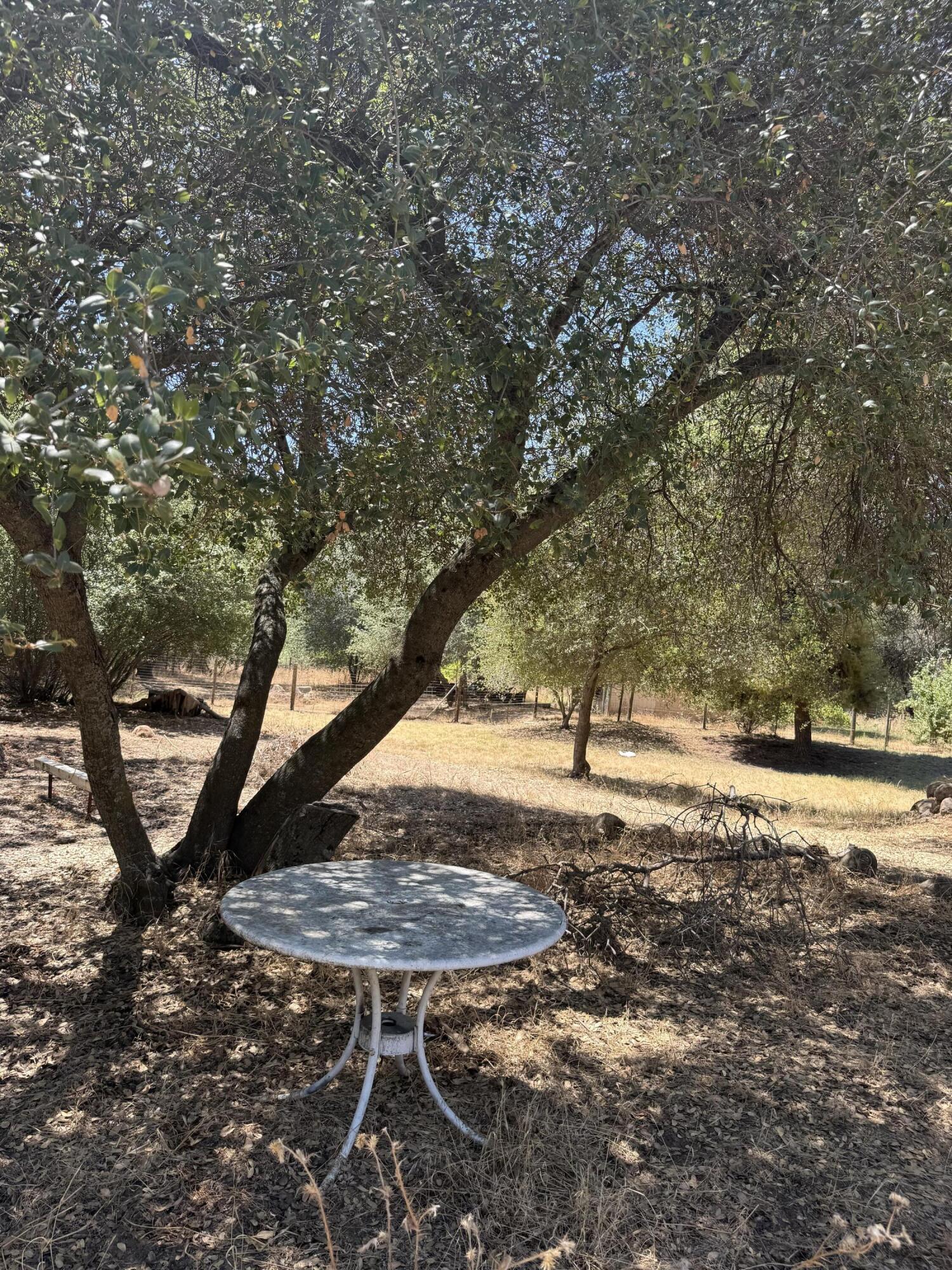 40831 Balch Park ##d, Springville, CA 93265
