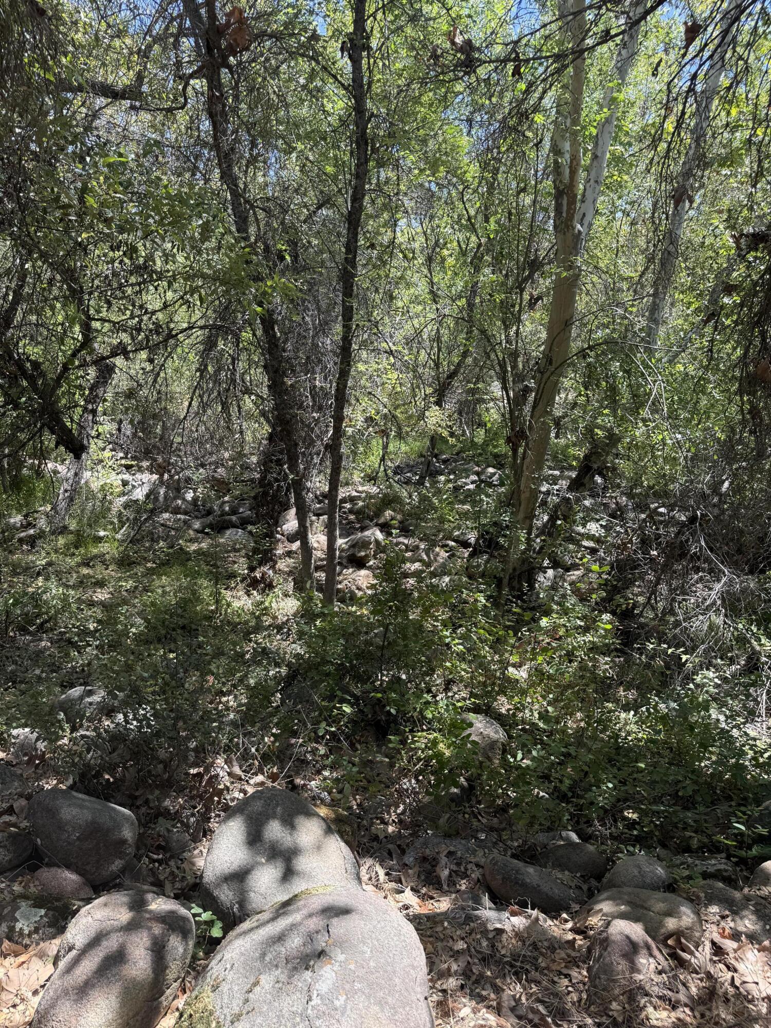 40831 Balch Park ##d, Springville, CA 93265