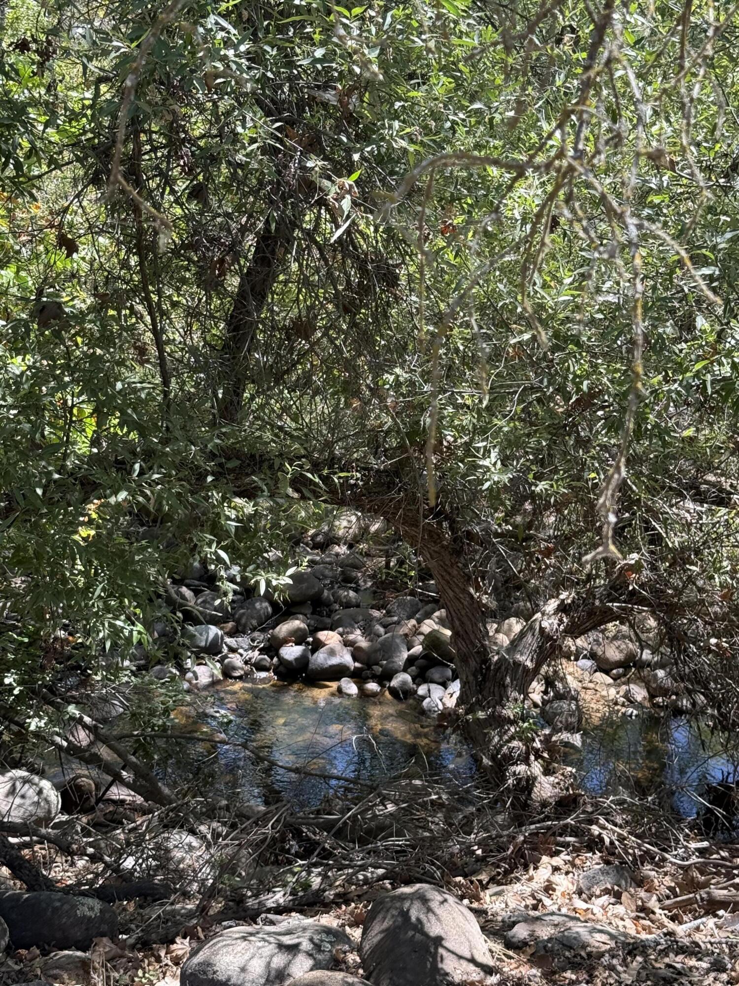 40831 Balch Park ##d, Springville, CA 93265