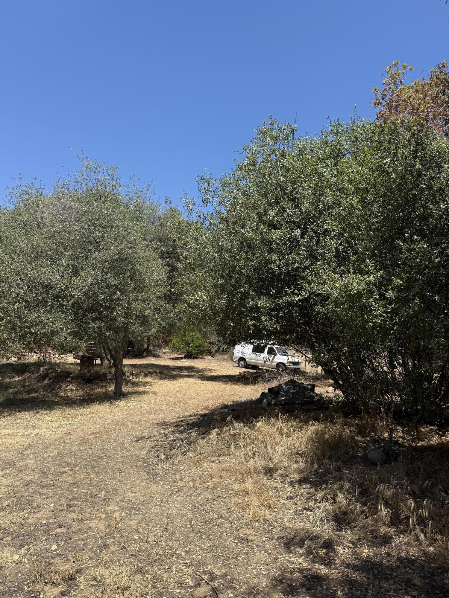 40831 Balch Park ##d, Springville, CA 93265