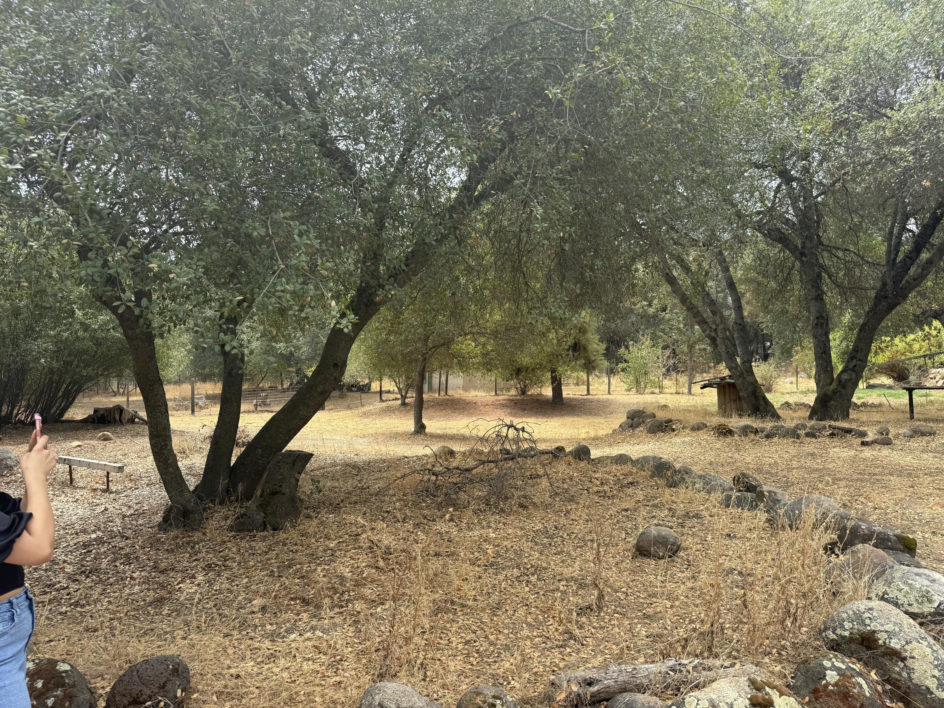 40831 Balch Park ##d, Springville, CA 93265