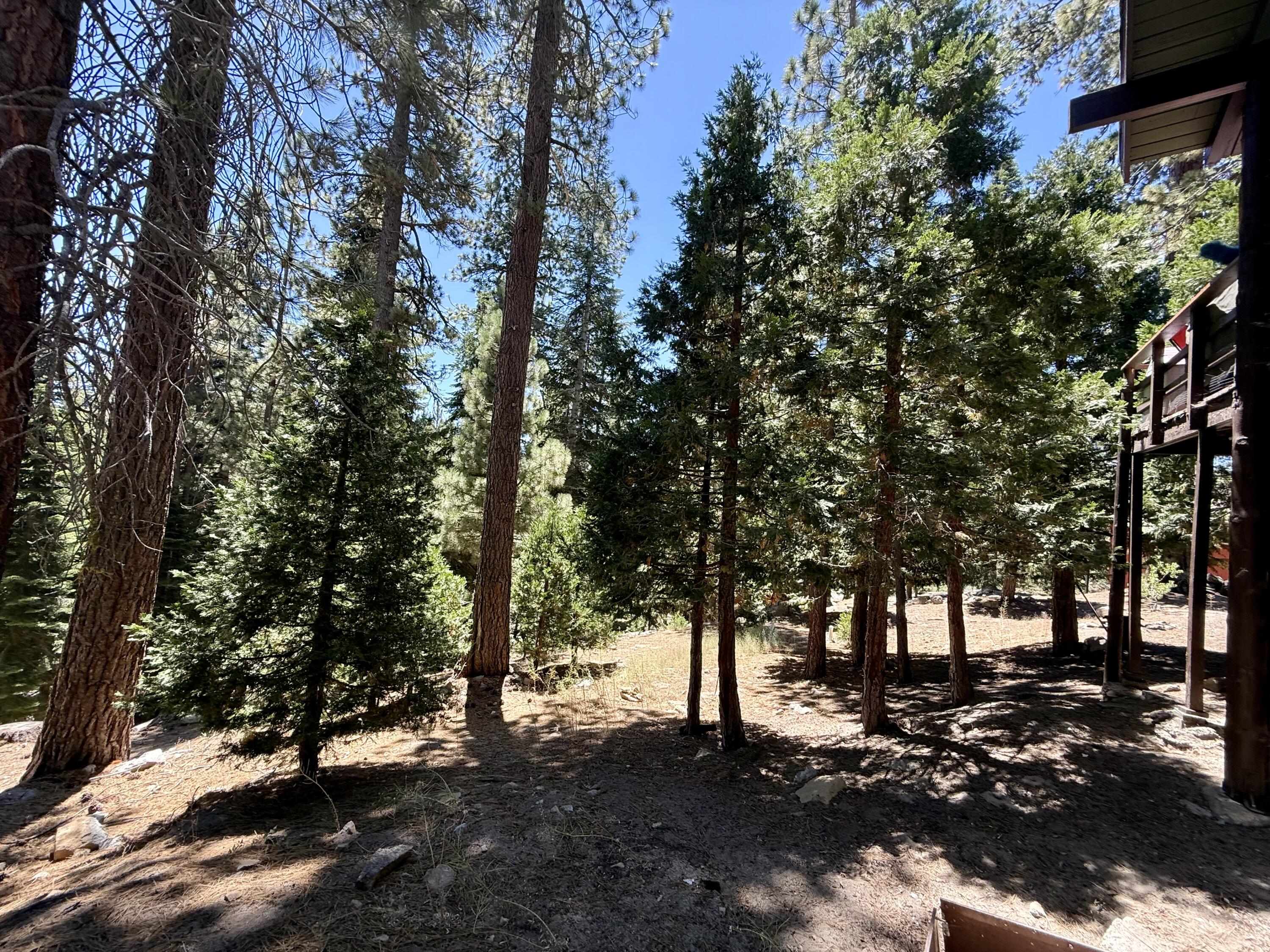 57524 Crest Dr, Springville, CA 93265