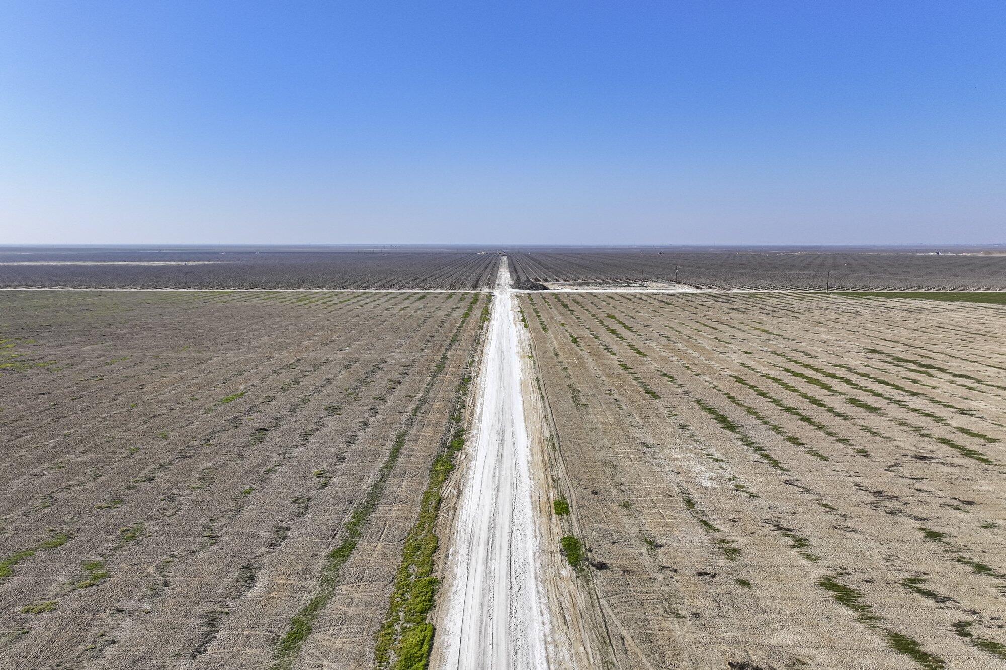0 Ca-43, Earlimart, CA 93219