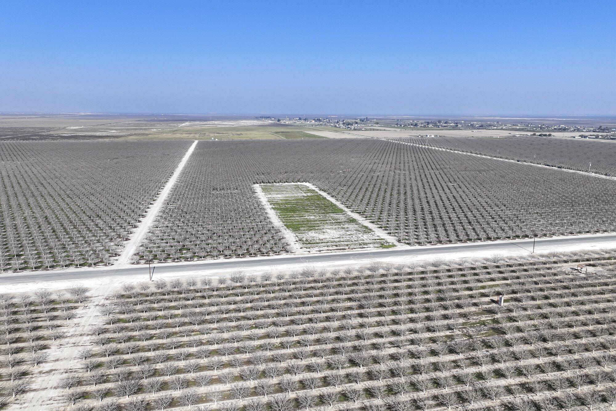 0 Ca-43, Earlimart, CA 93219