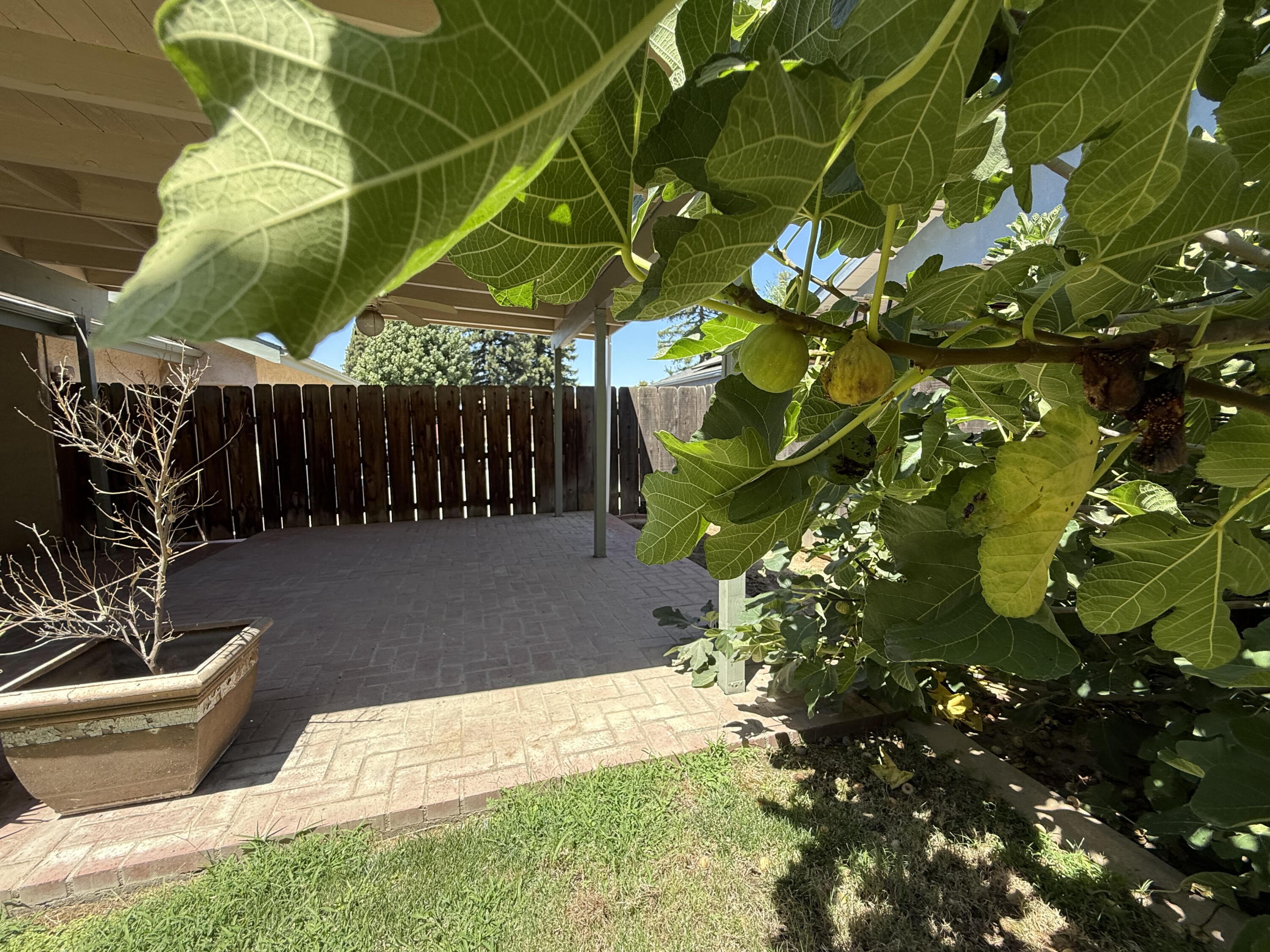 2300 E Iris Ave, Visalia, CA 93292