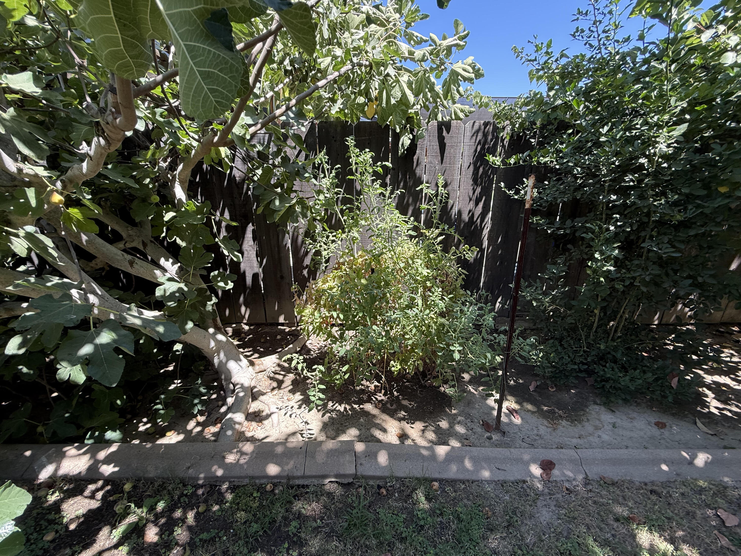 2300 E Iris Ave, Visalia, CA 93292
