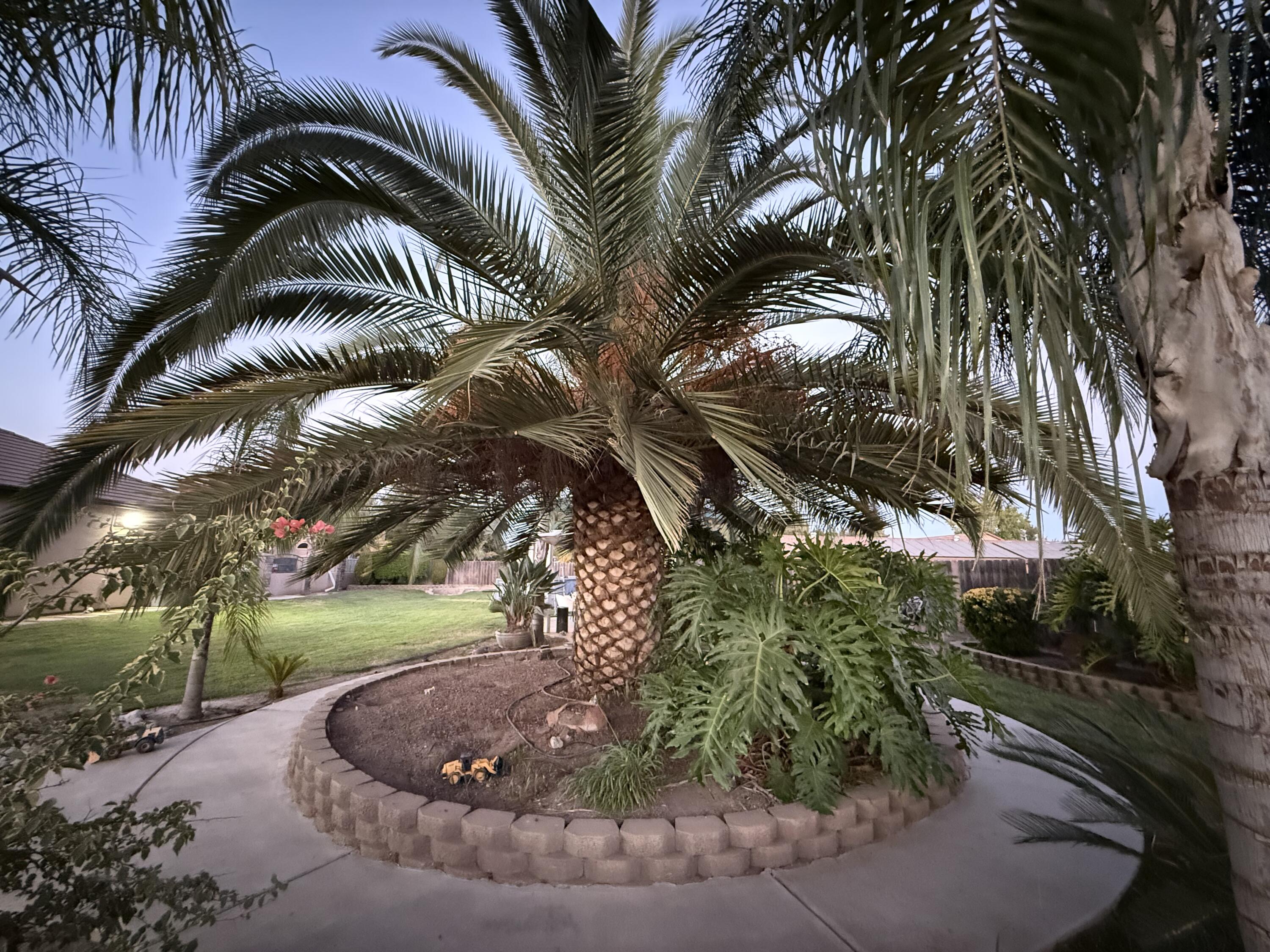 12165 Avenue 322 St, Visalia, CA 93291