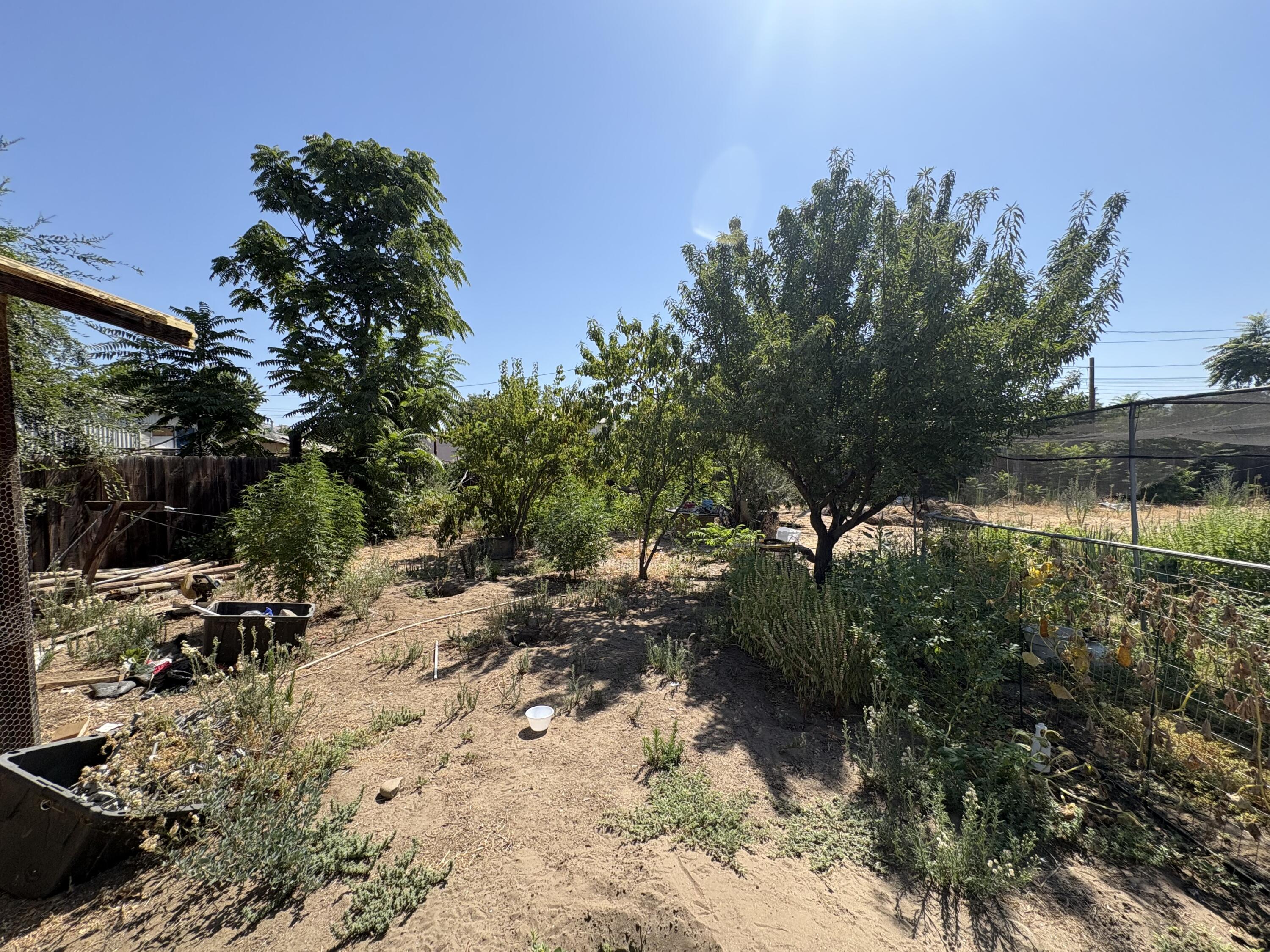 1704 E Springville Ave, Porterville, CA 93257