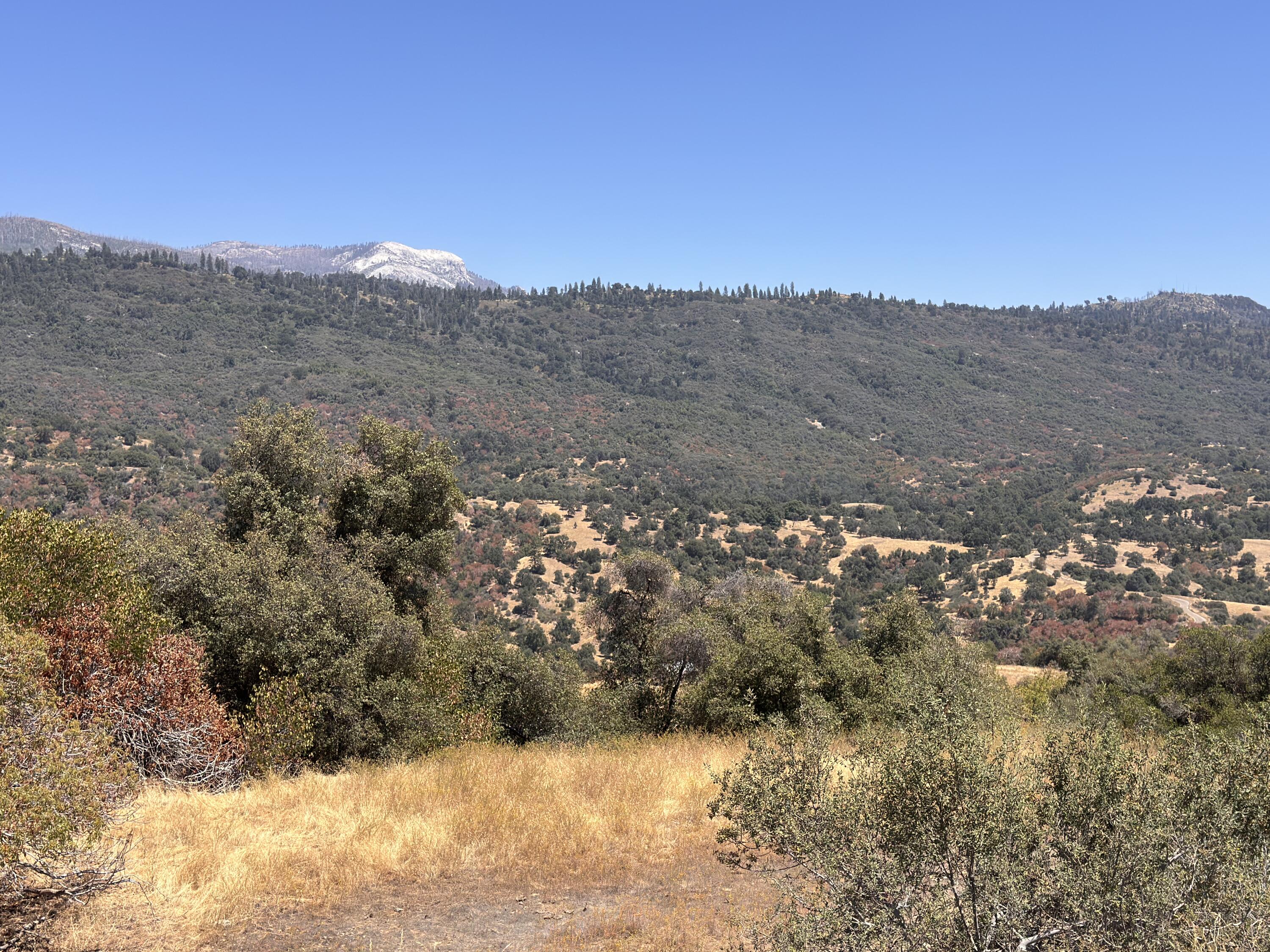 0 Visalia Rd, Miramonte, CA 93641