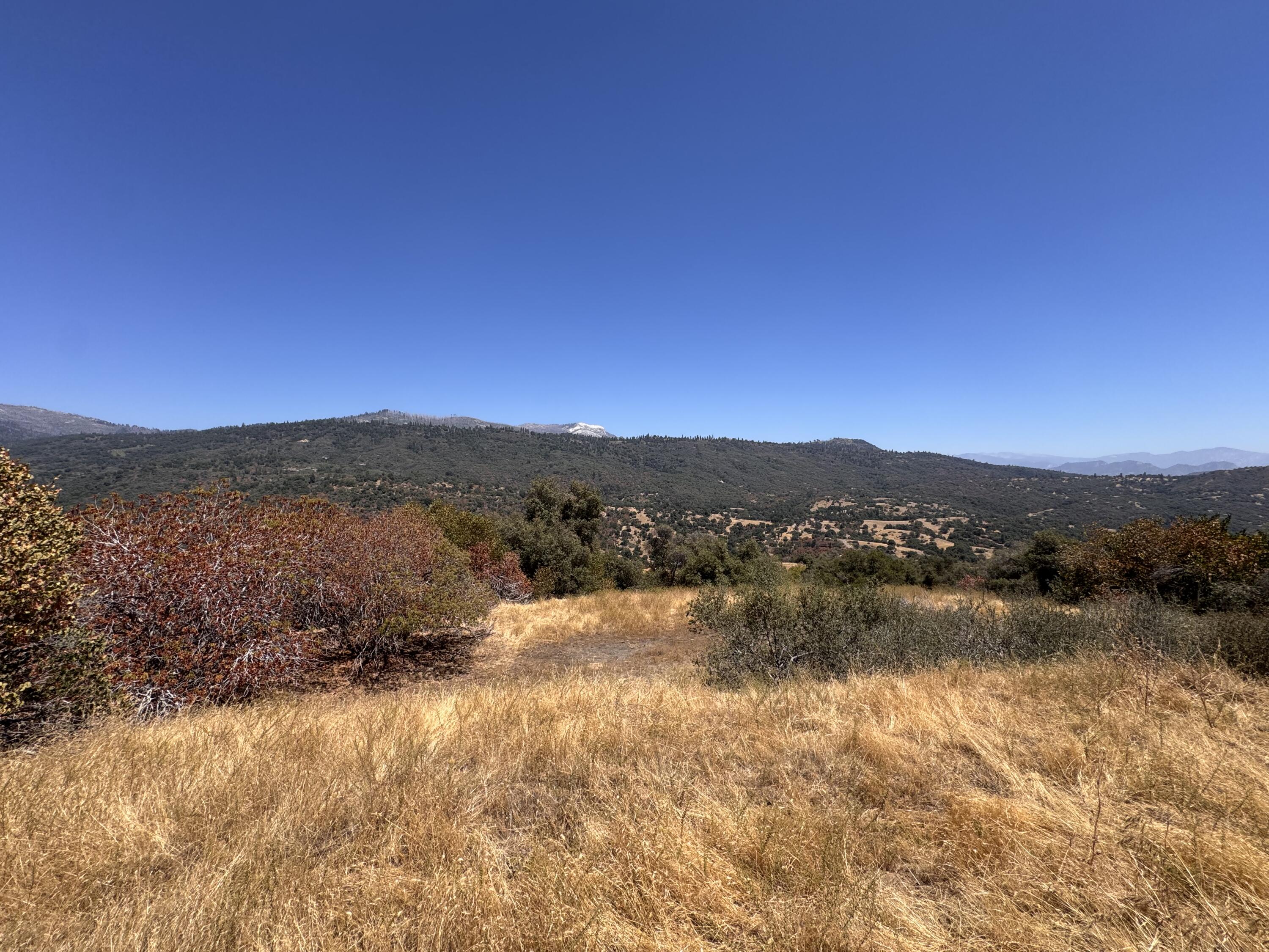 0 Visalia Rd, Miramonte, CA 93641