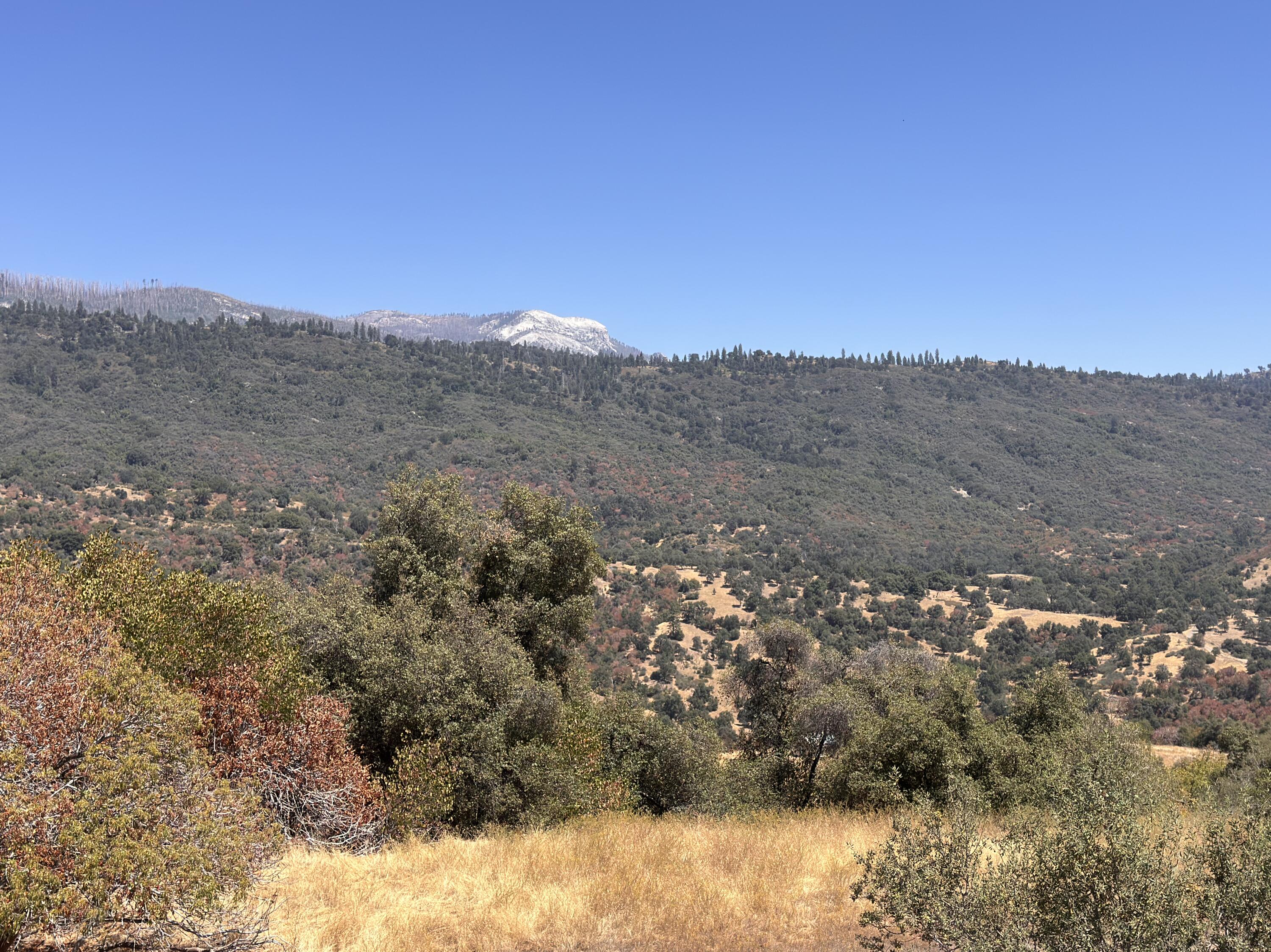 0 Visalia Rd, Miramonte, CA 93641