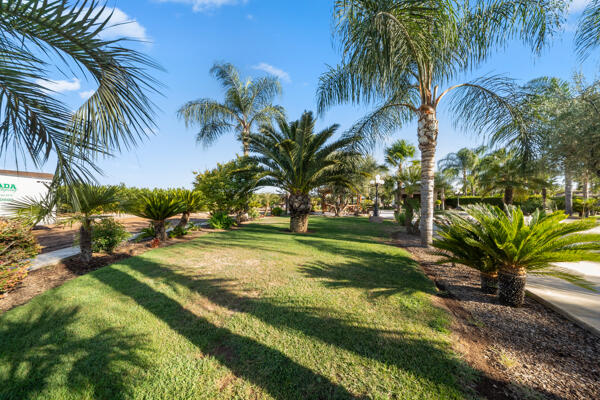 38368 Road 132, Cutler, CA 93615