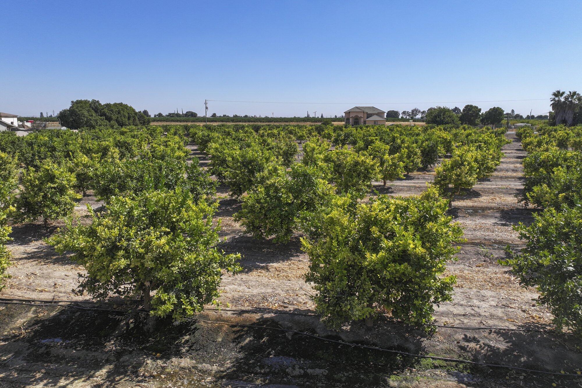 0 Ave. 424, Dinuba, CA 93618