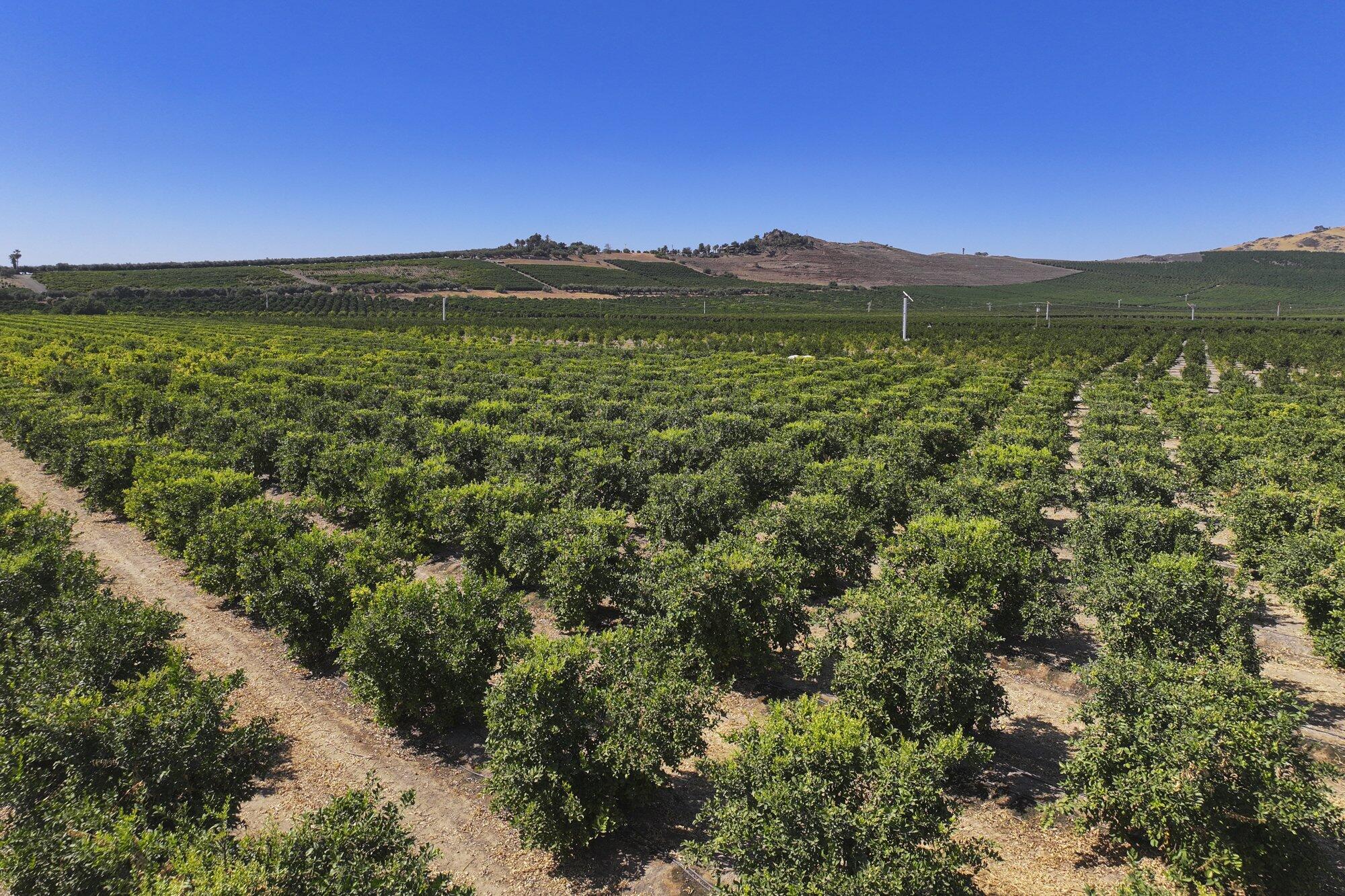 0 Ave. 424, Dinuba, CA 93618