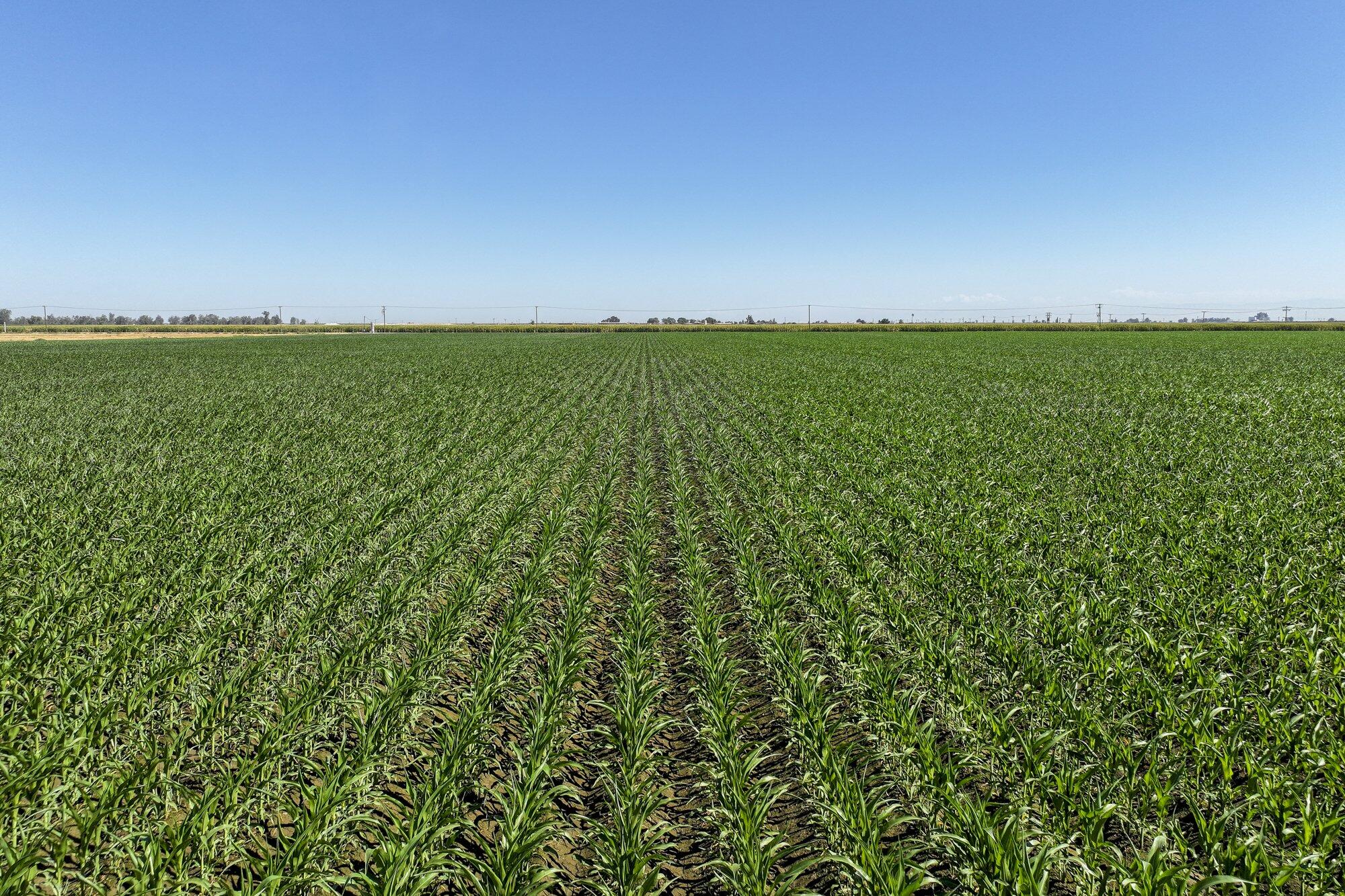 0 Road 112, Pixley, CA 93256