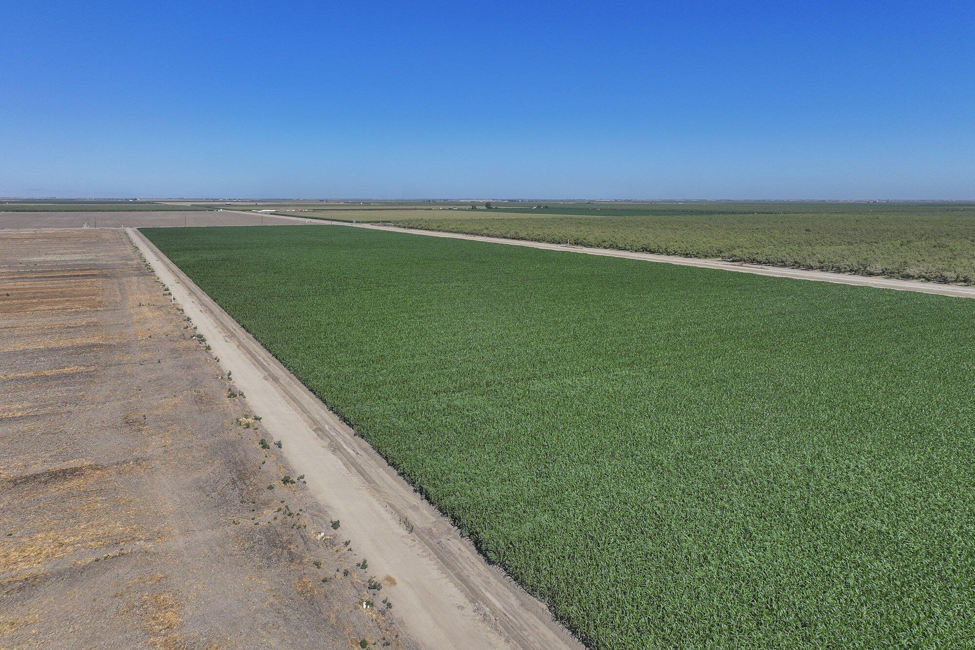 0 Road 112, Pixley, CA 93256