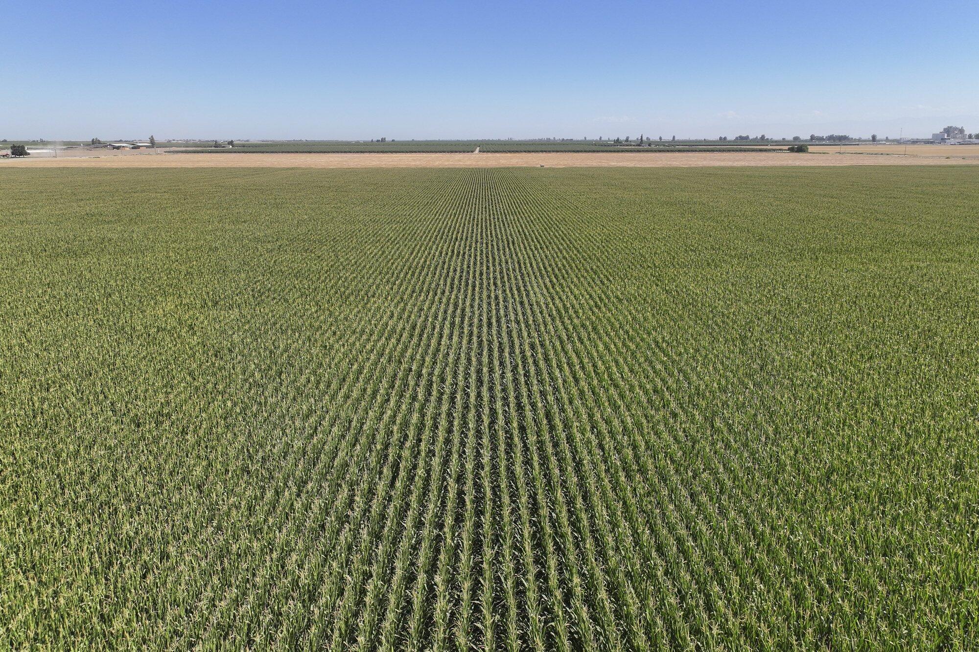 0 Road 112, Pixley, CA 93256