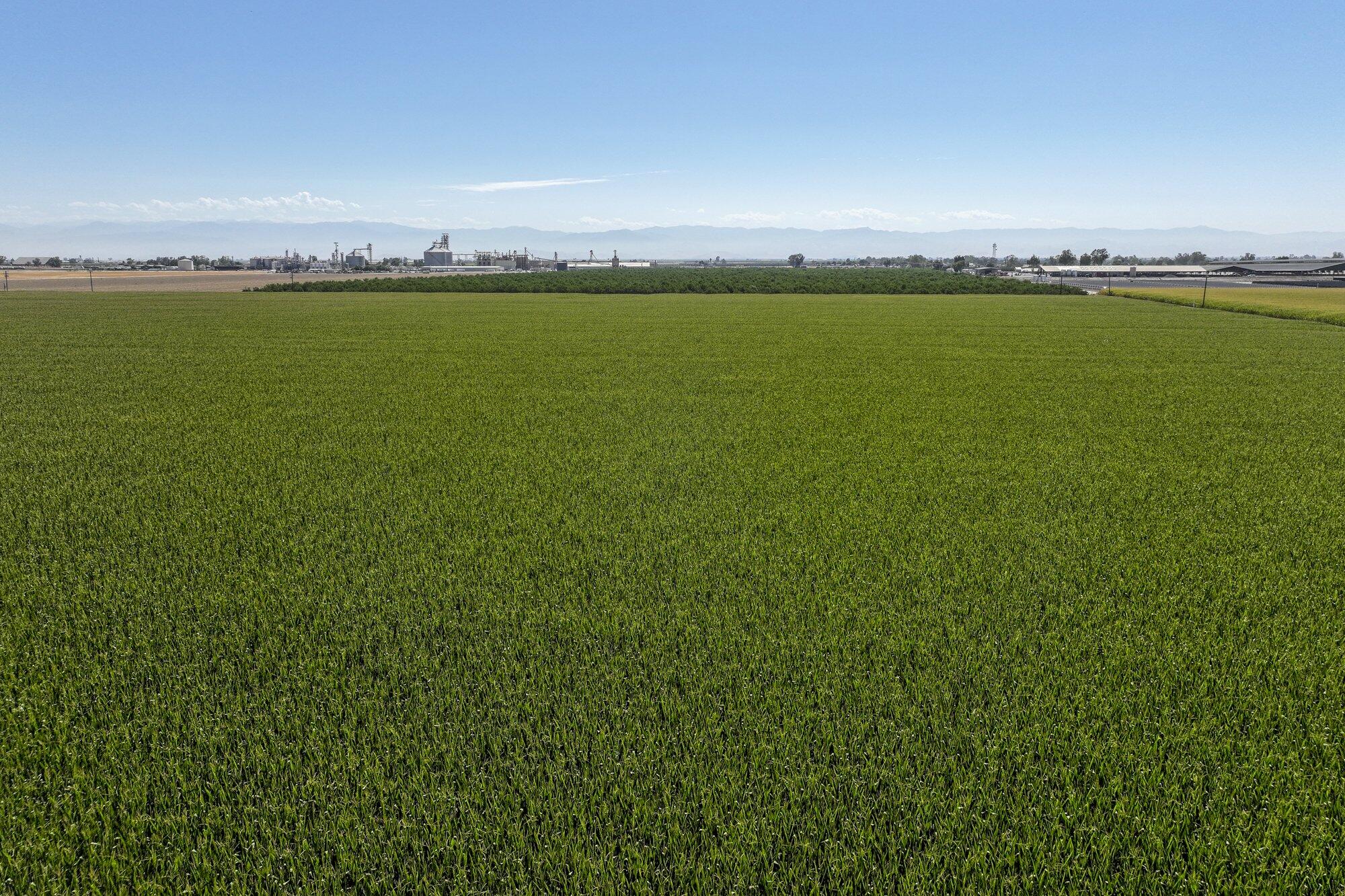 0 Road 112, Pixley, CA 93256