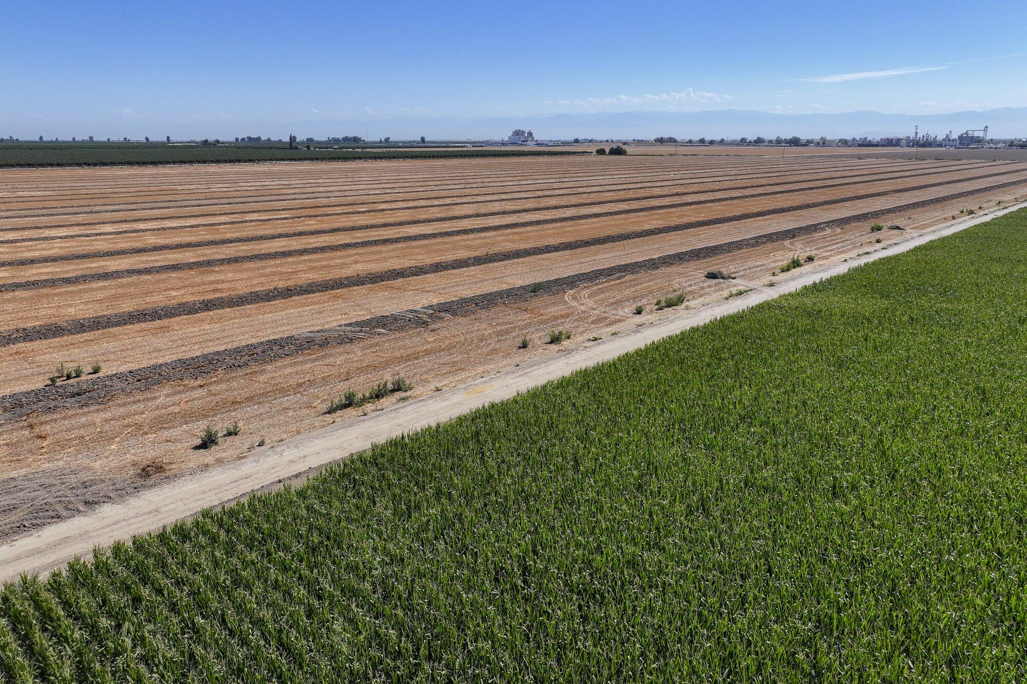 0 Road 112, Pixley, CA 93256