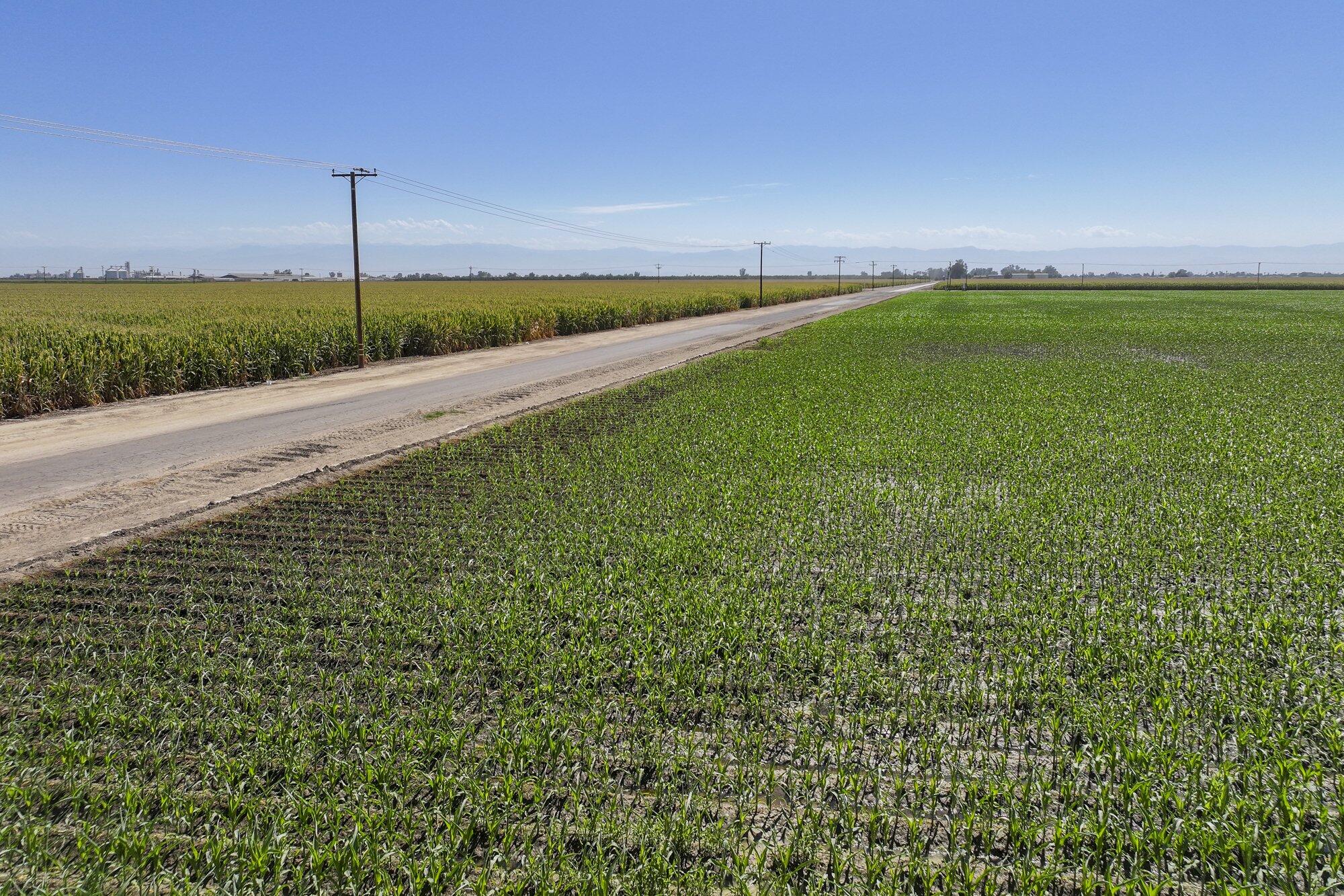 0 Road 112, Pixley, CA 93256