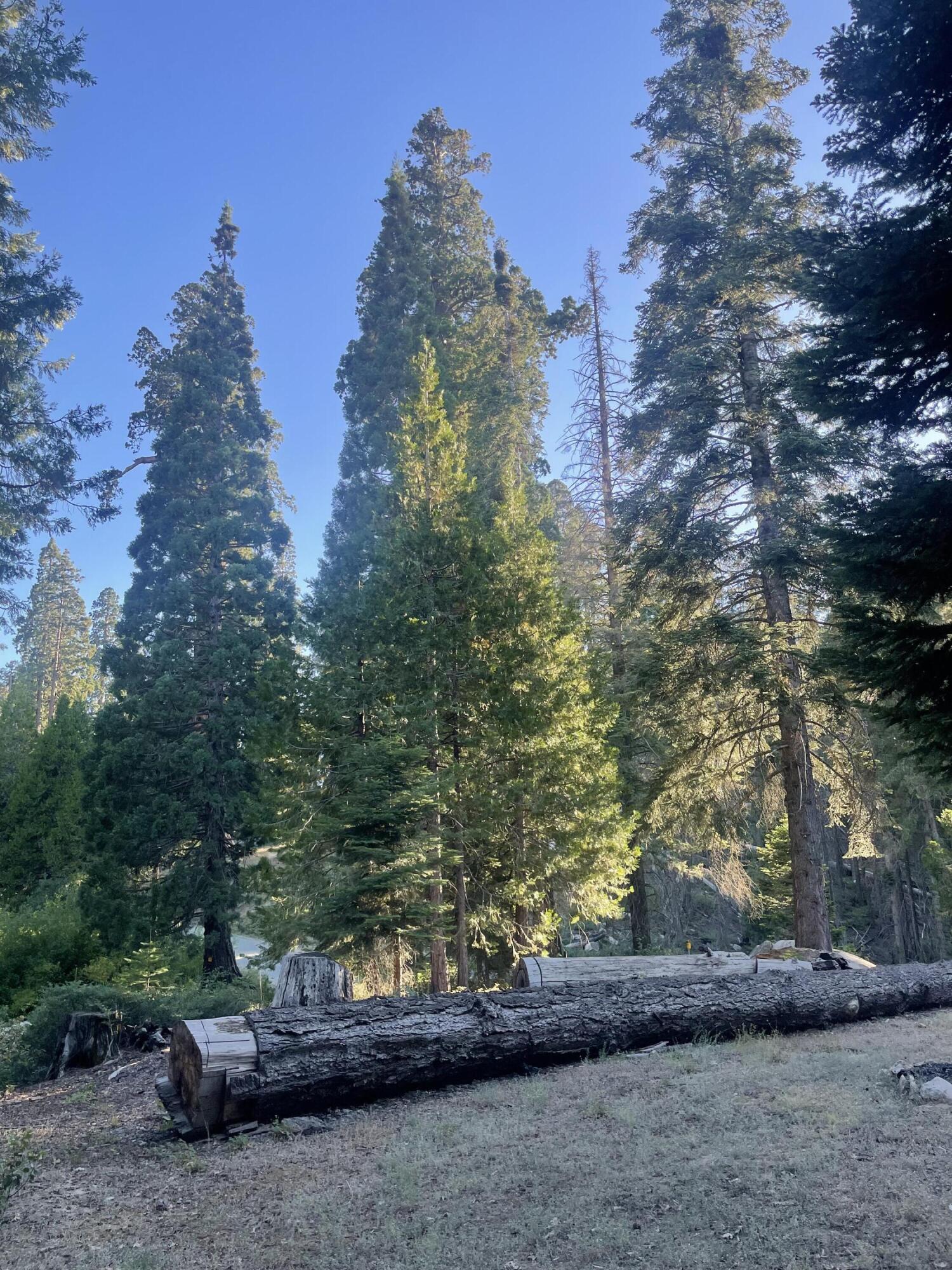 16 Coy Flat Road, Springville, CA 93265