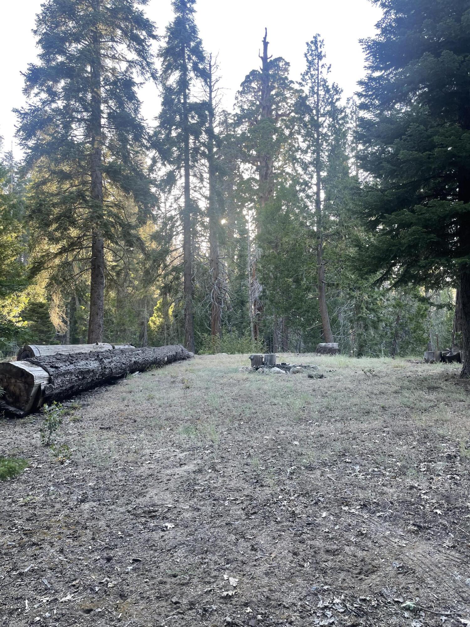 16 Coy Flat Road, Springville, CA 93265