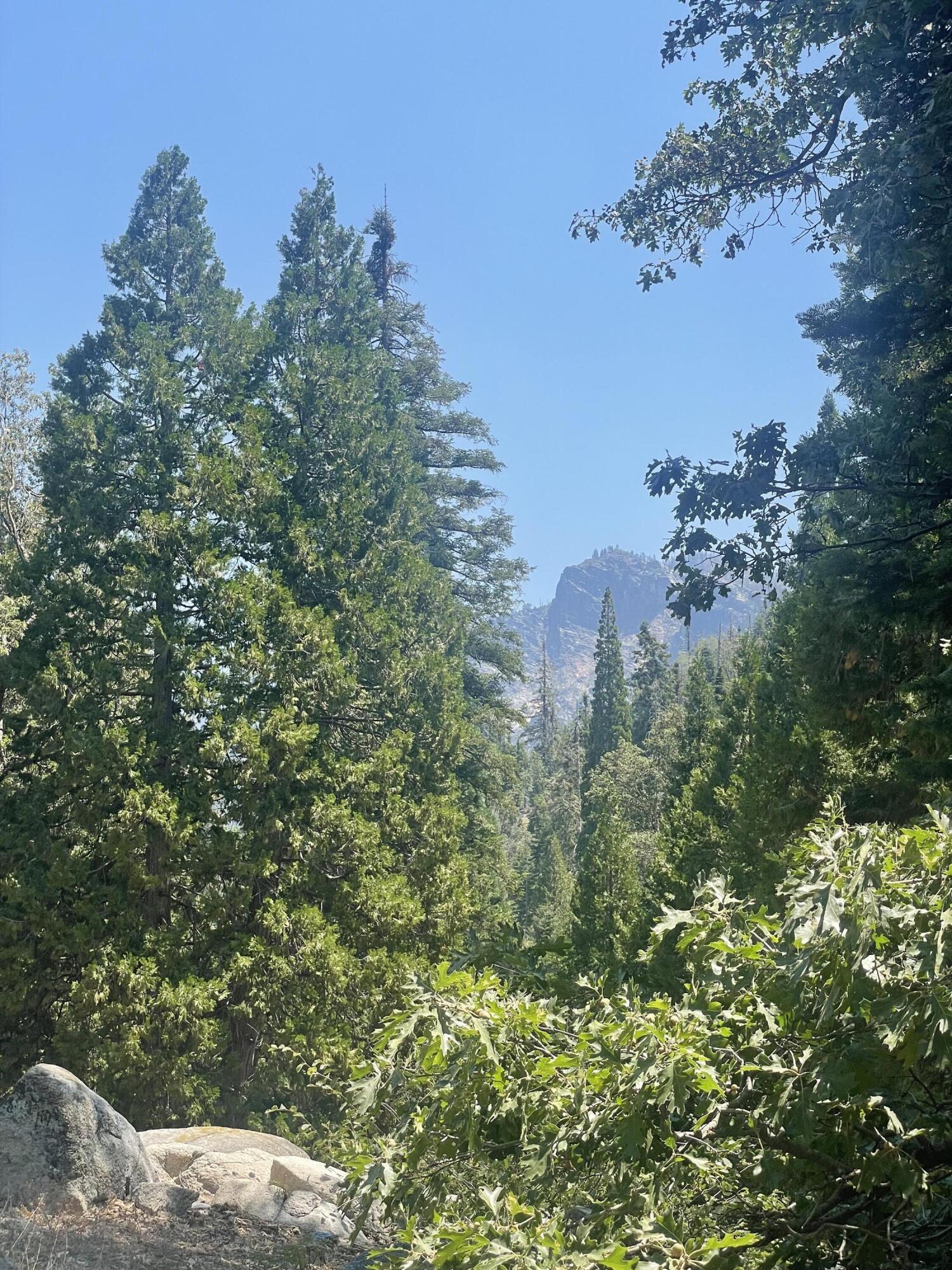 16 Coy Flat Road, Springville, CA 93265
