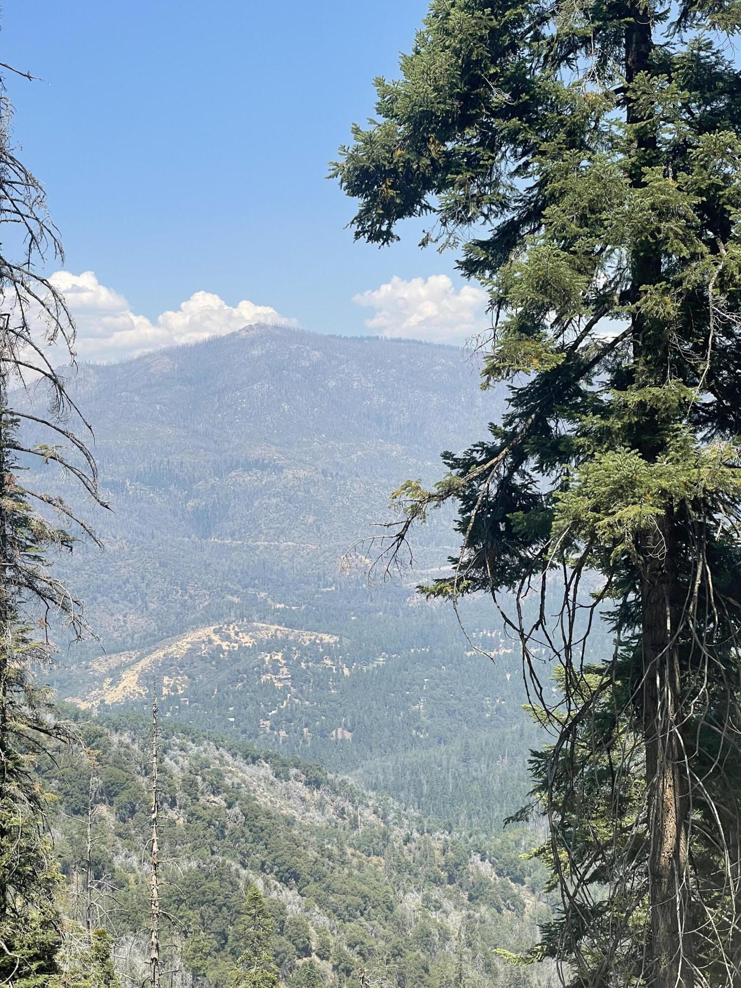 16 Coy Flat Road, Springville, CA 93265