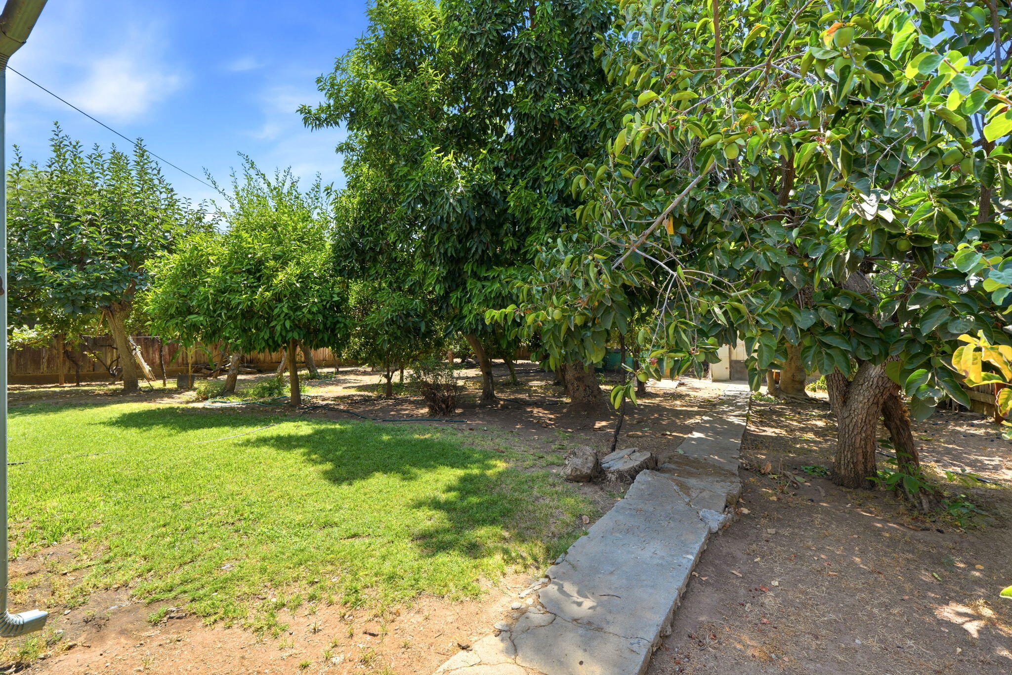 769 N Pine St, Woodlake, CA 93286