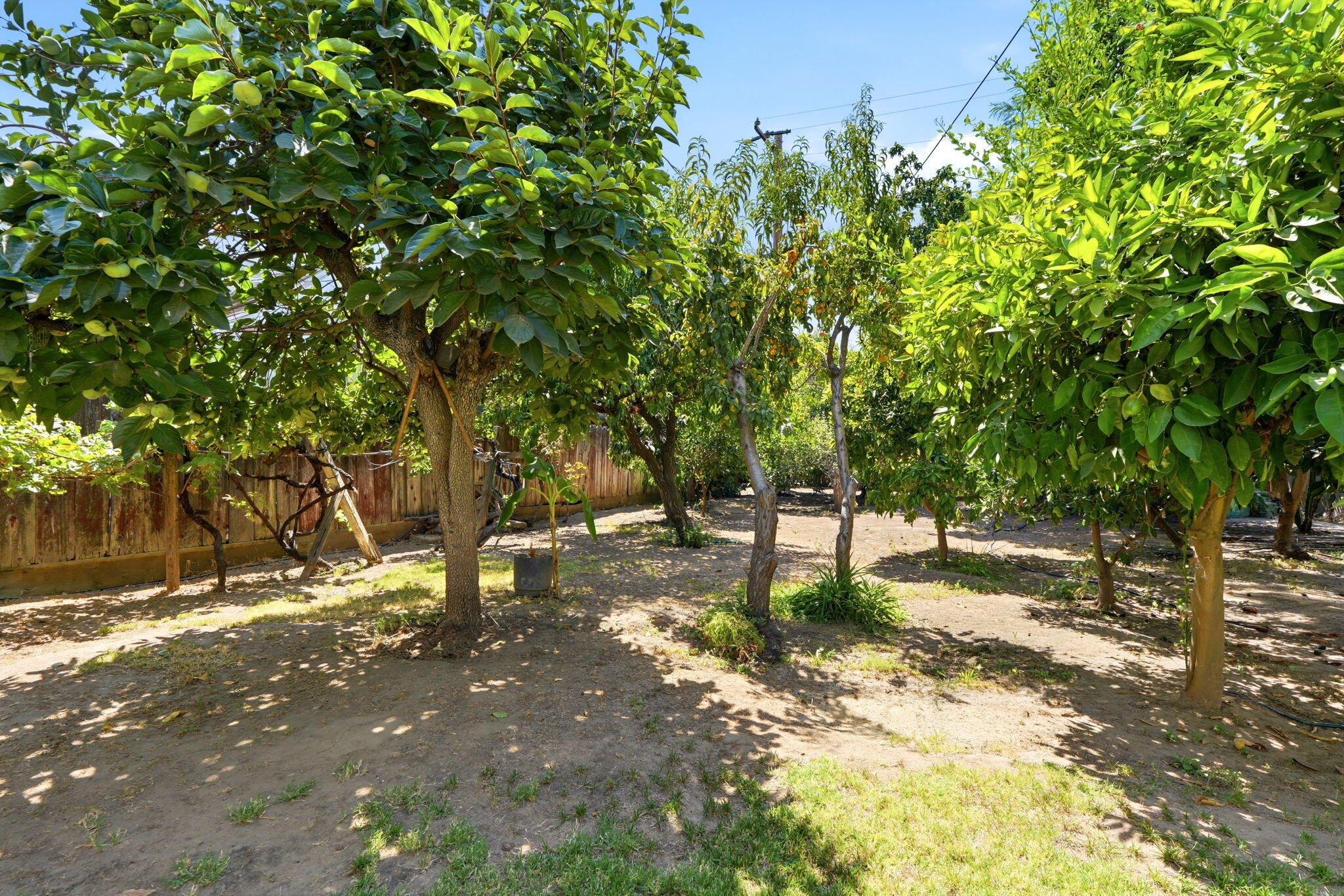 769 N Pine St, Woodlake, CA 93286