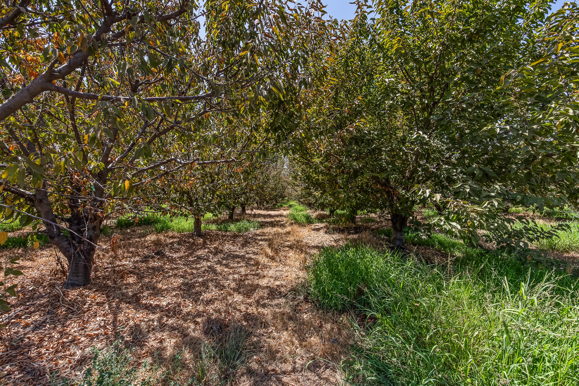 0 Road 112, Tulare, CA 93274