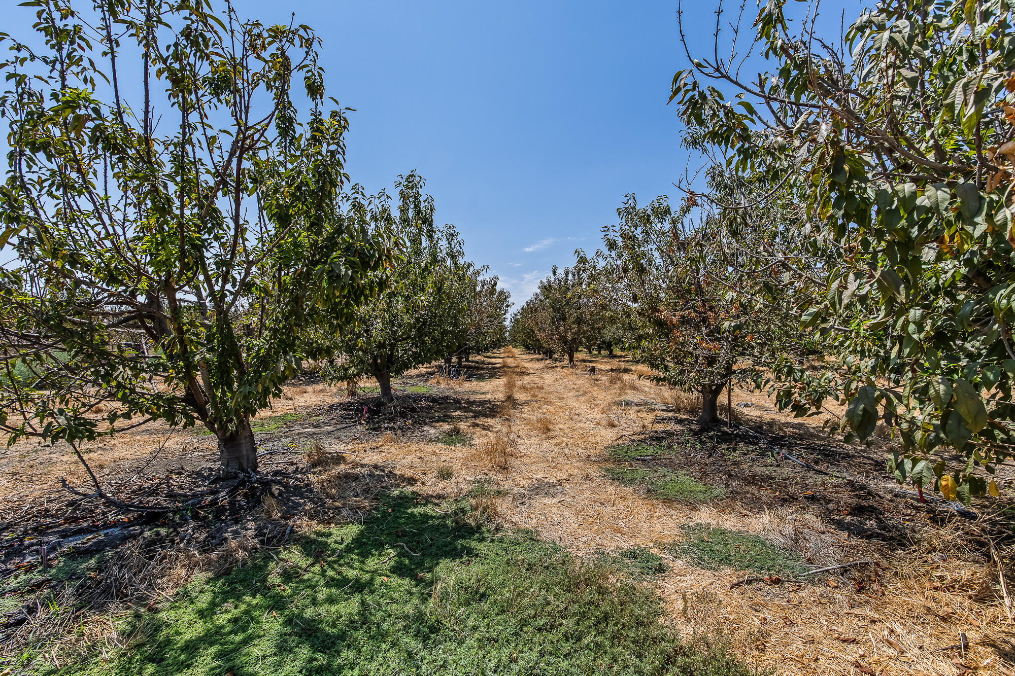 0 Road 112, Tulare, CA 93274